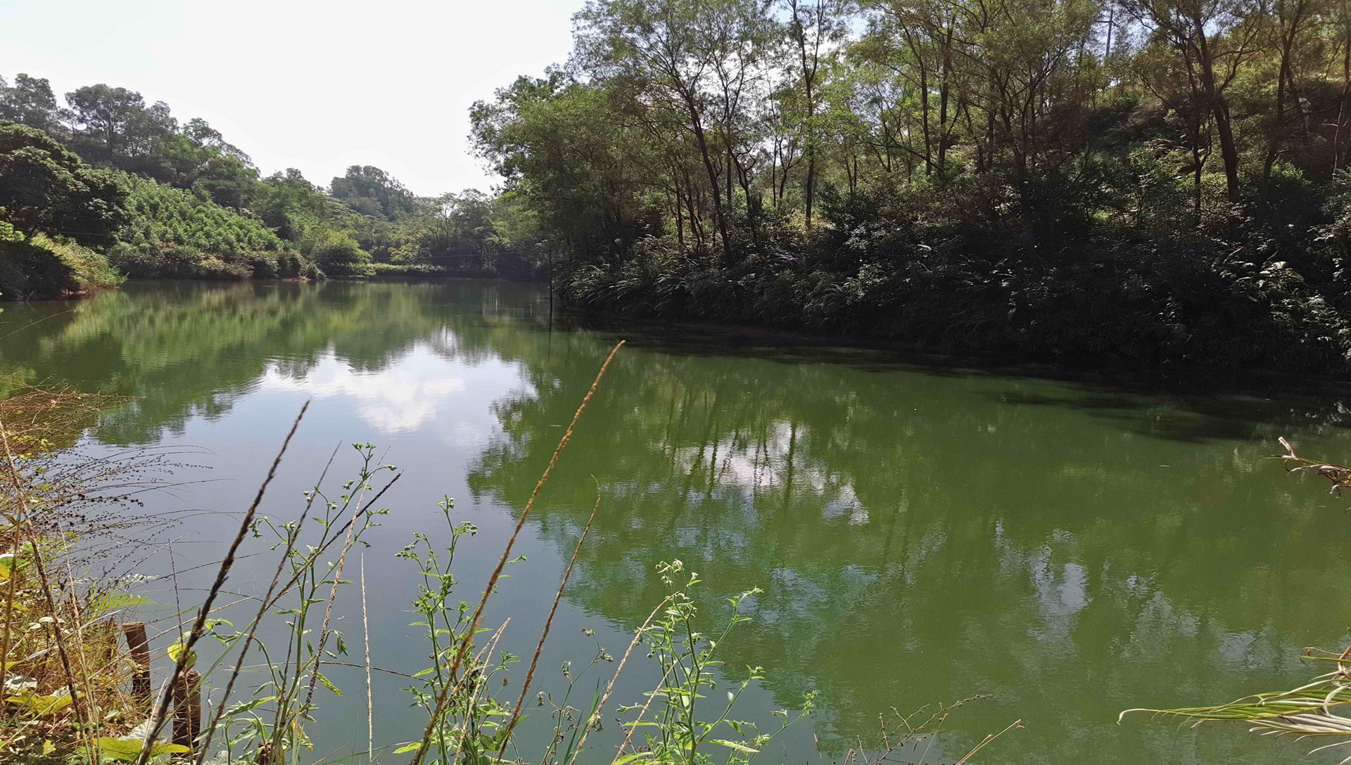 分水坑水库