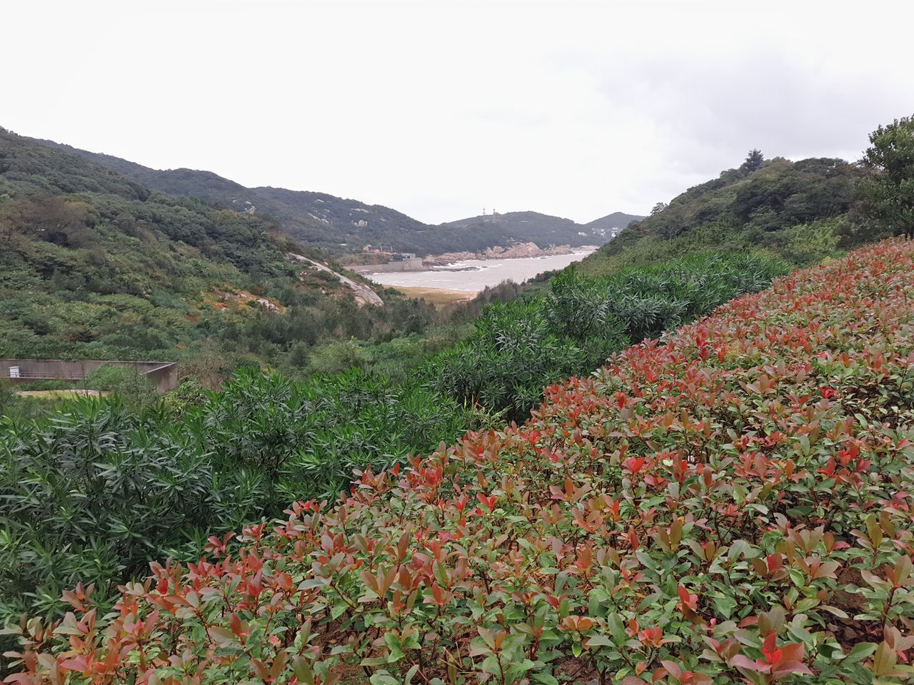 飞沙岙梵音洞景区