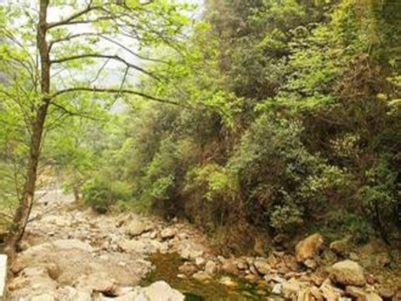 小火锯南沟