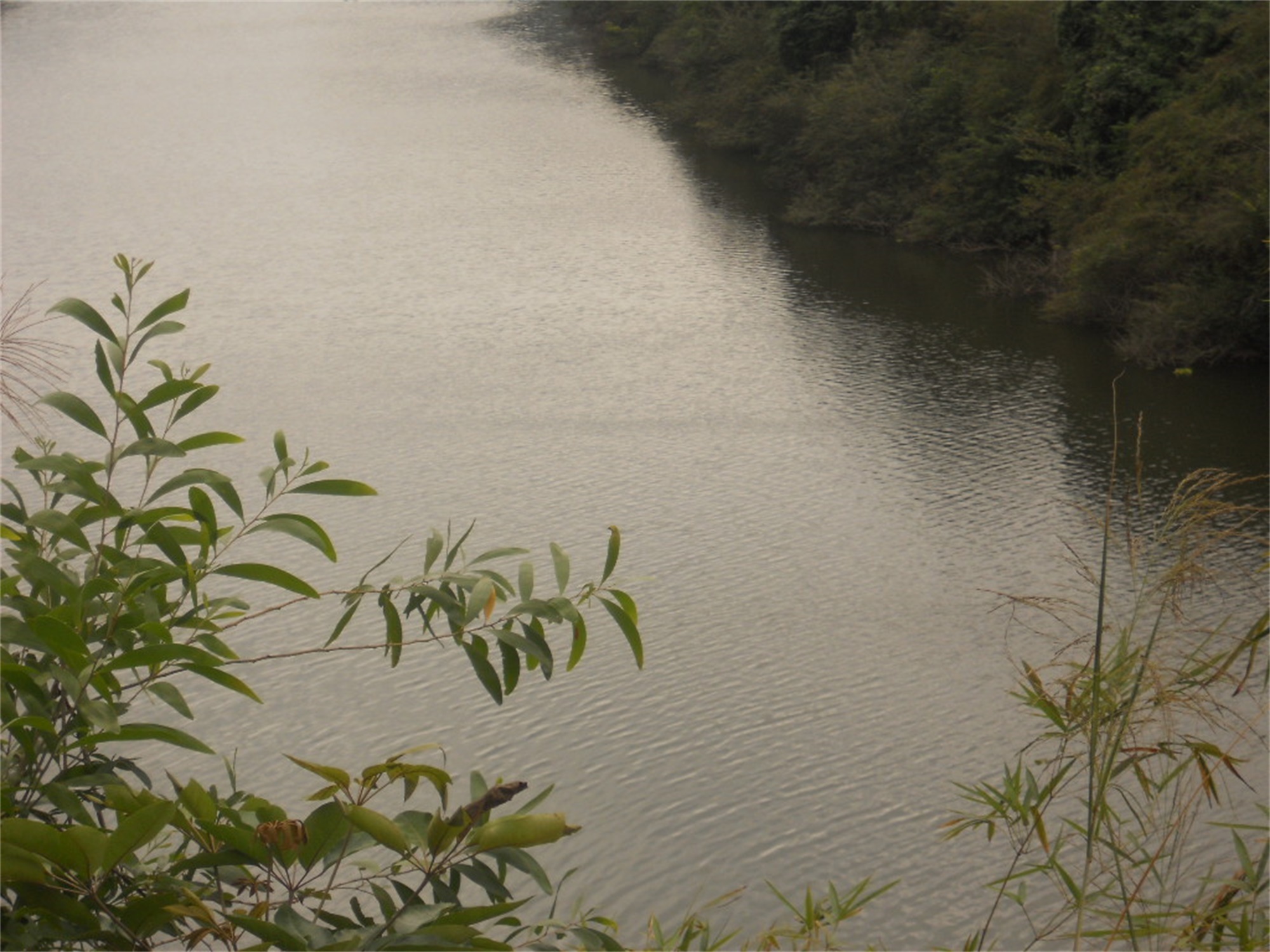 坪水水库