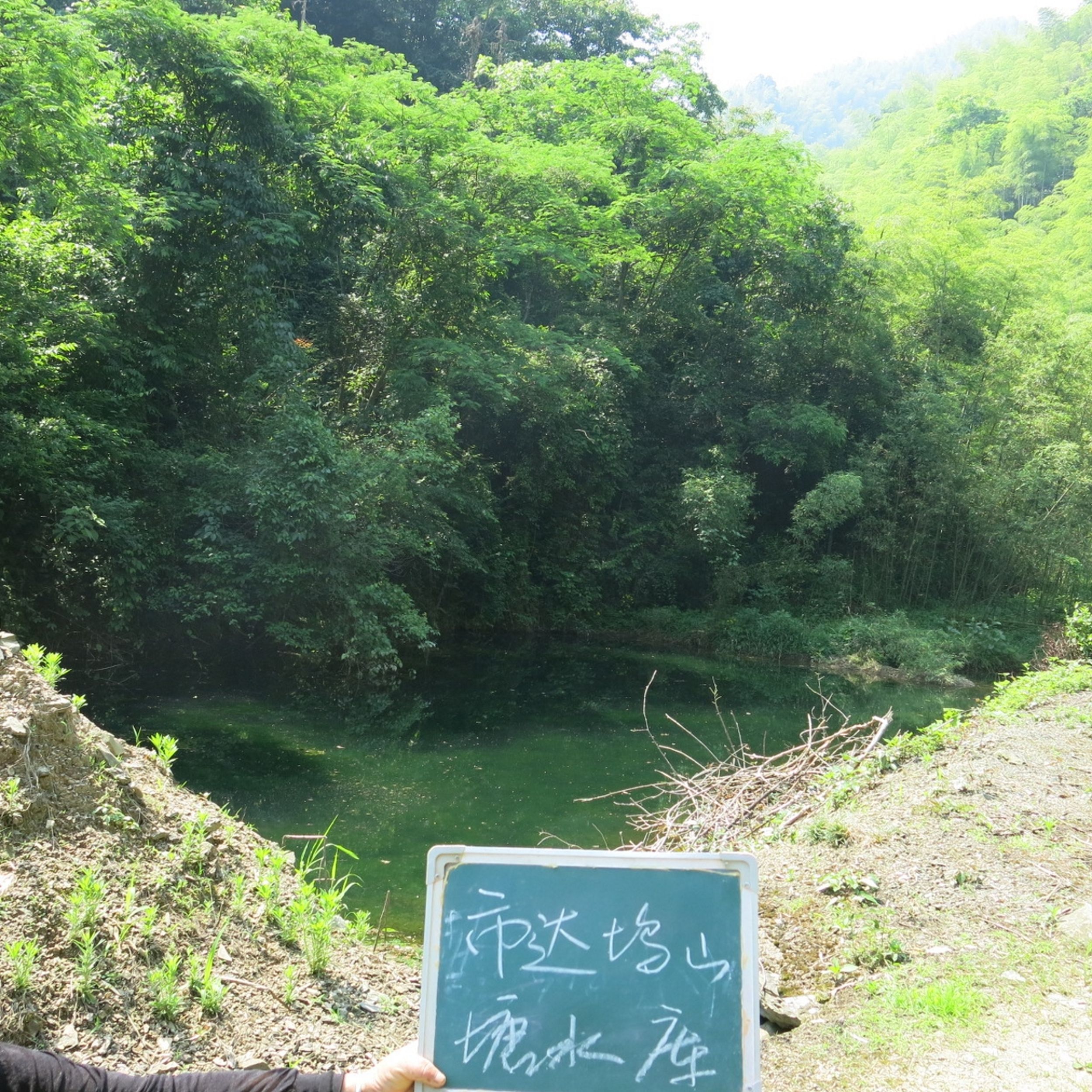 市达坞山塘水库