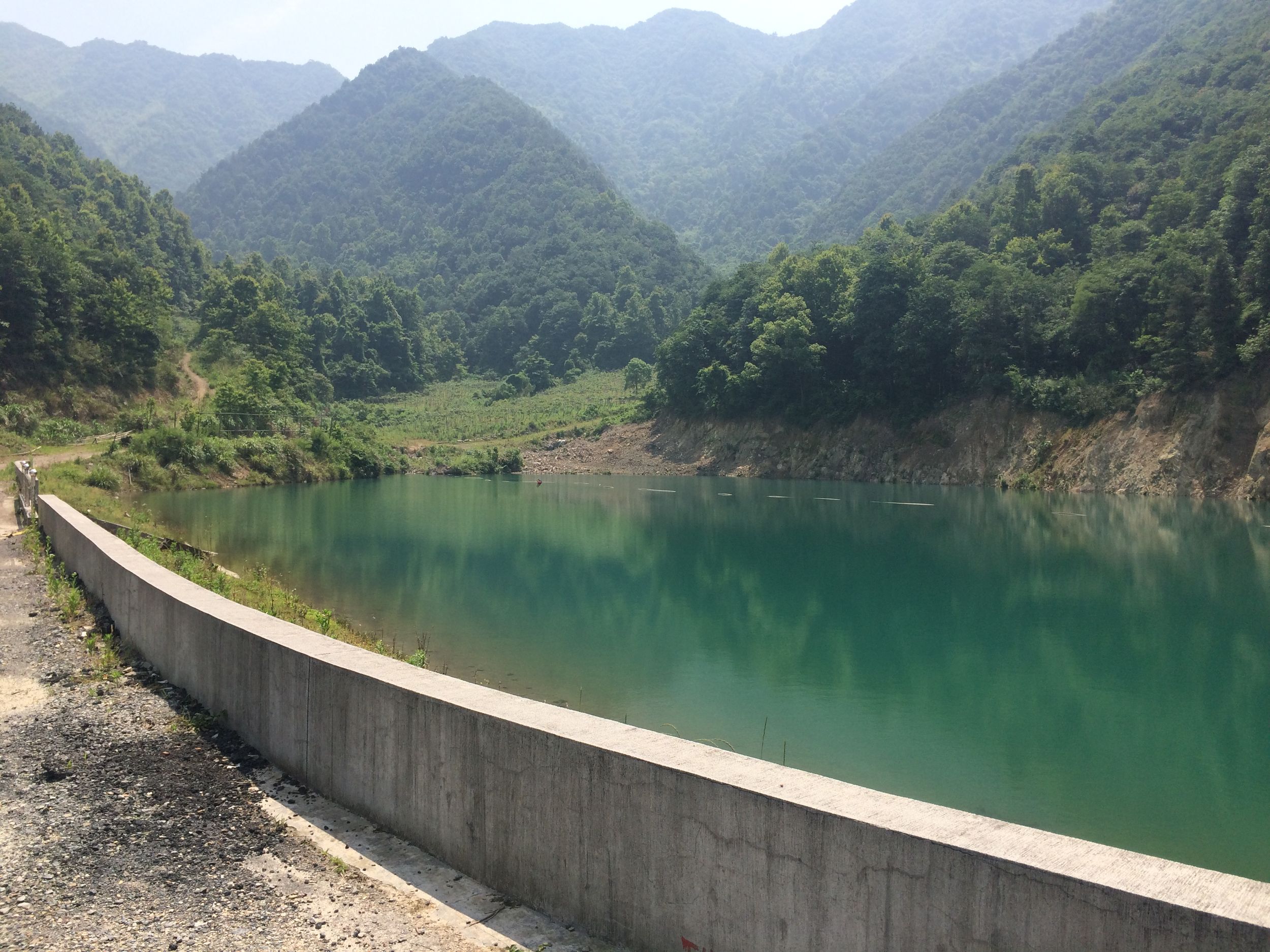 枫树湾庵基塘坝水库