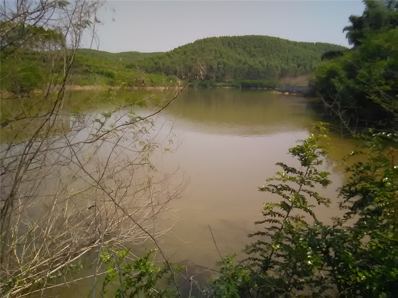 鲤鱼塘水库