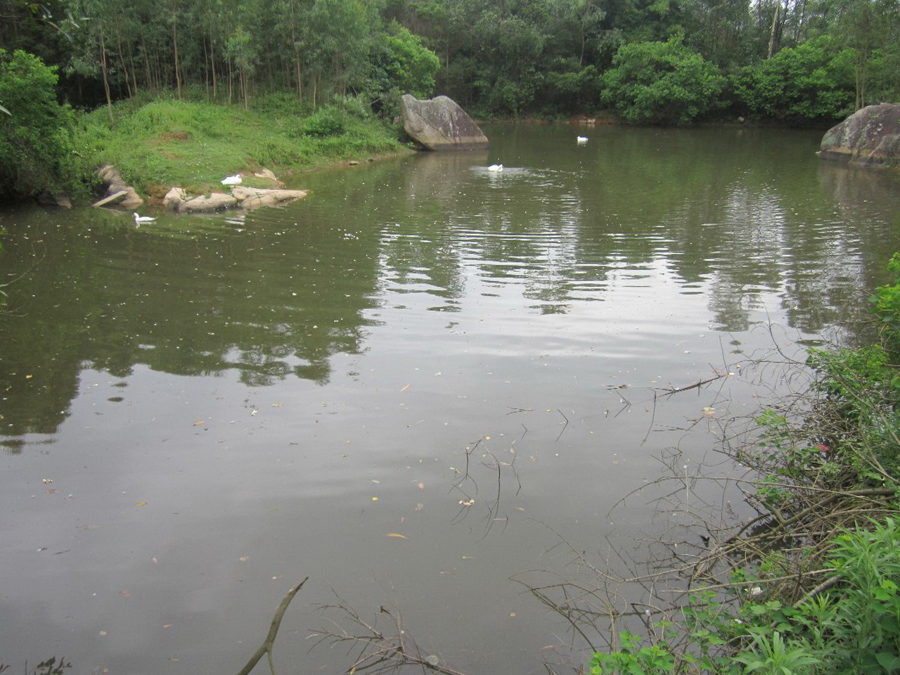 香坑水库