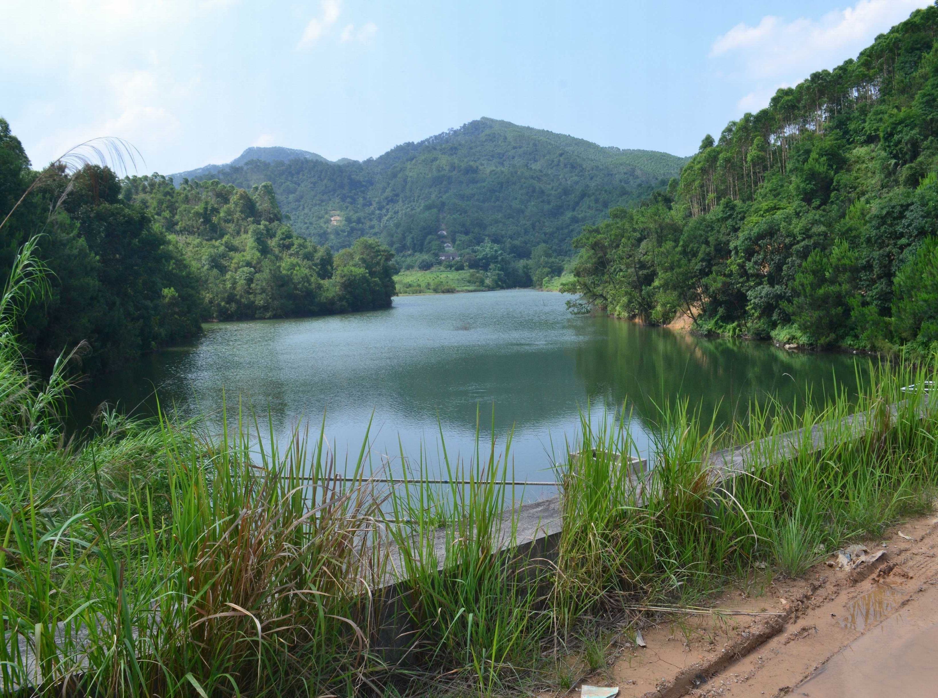 鲤鱼冲水库