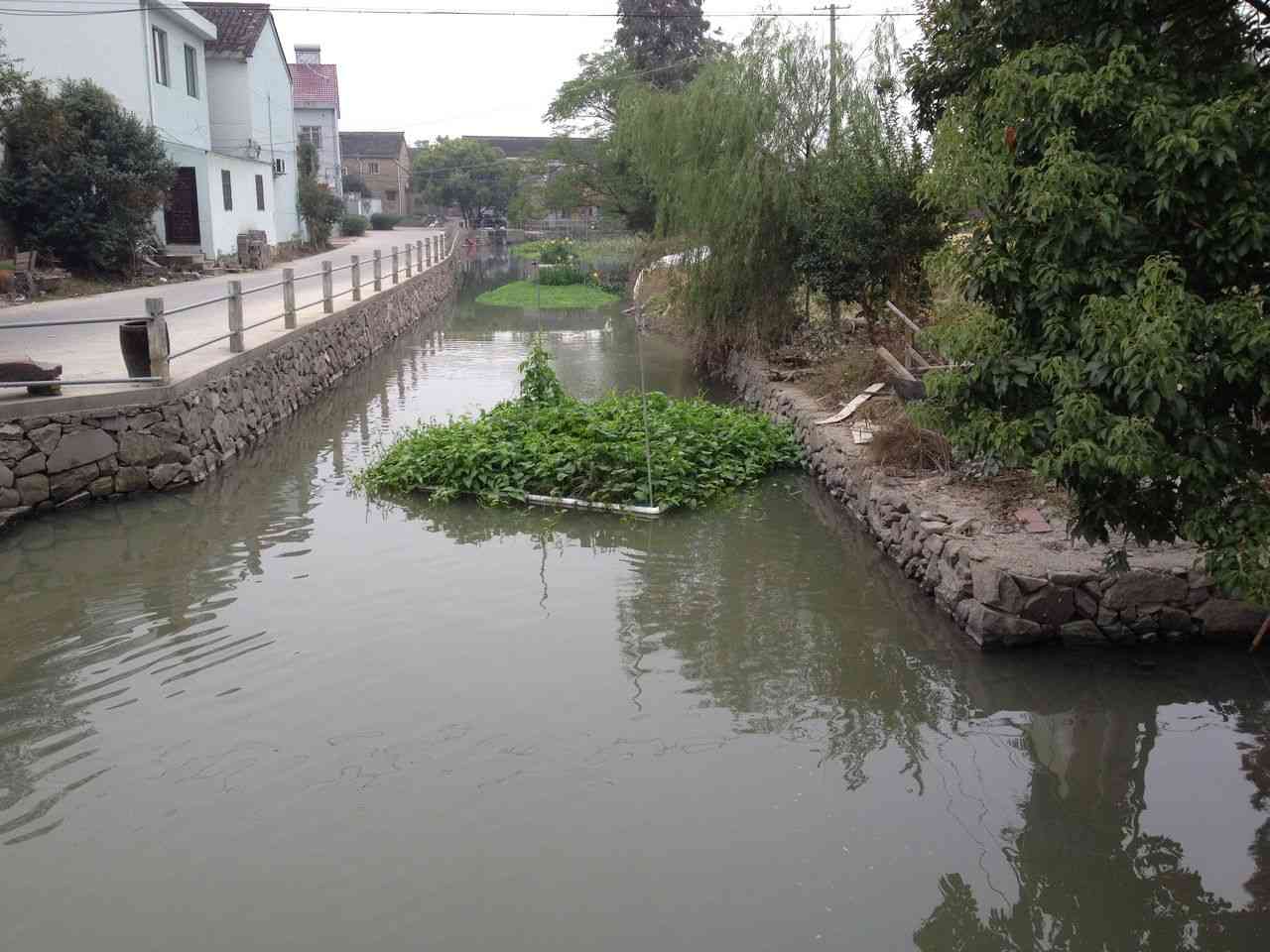 蒋葭浦村内河