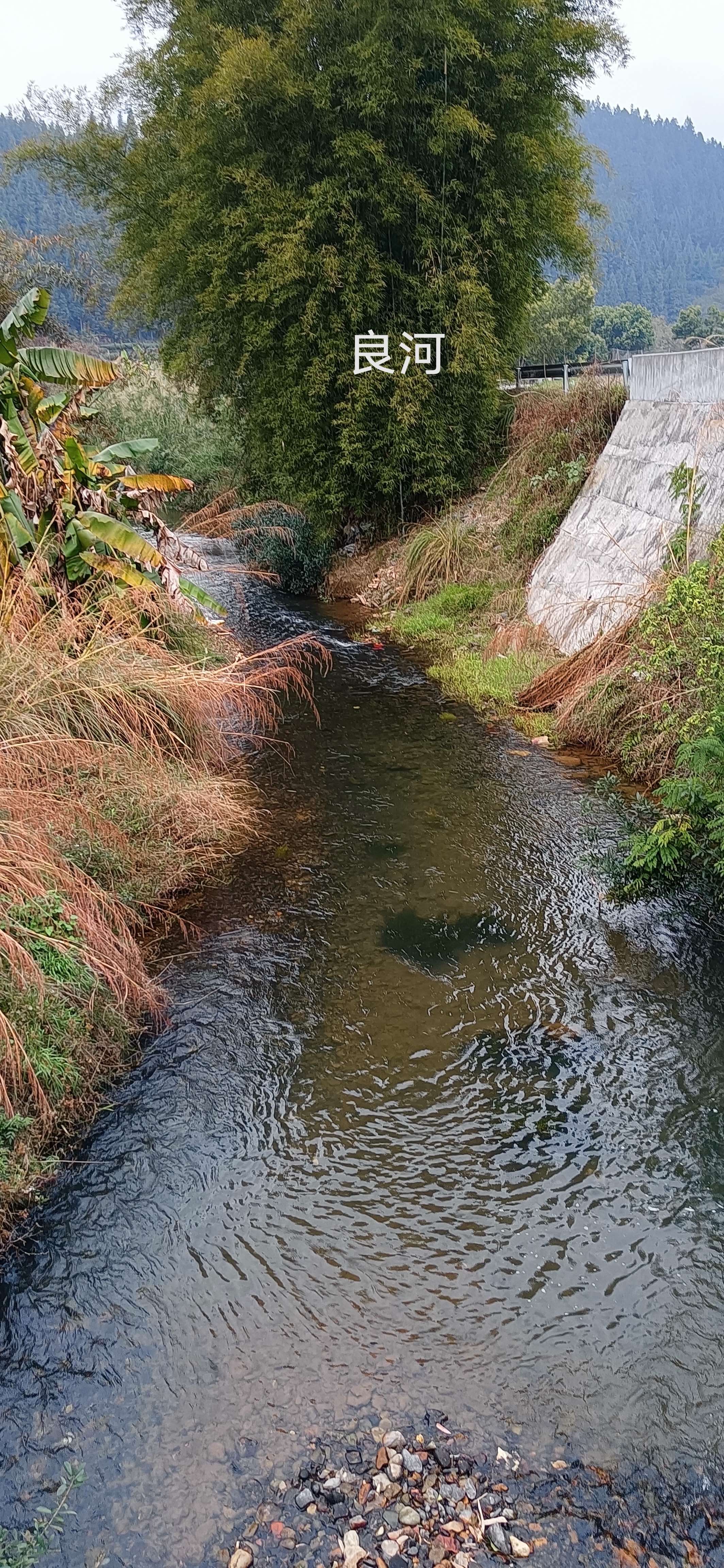 良江河