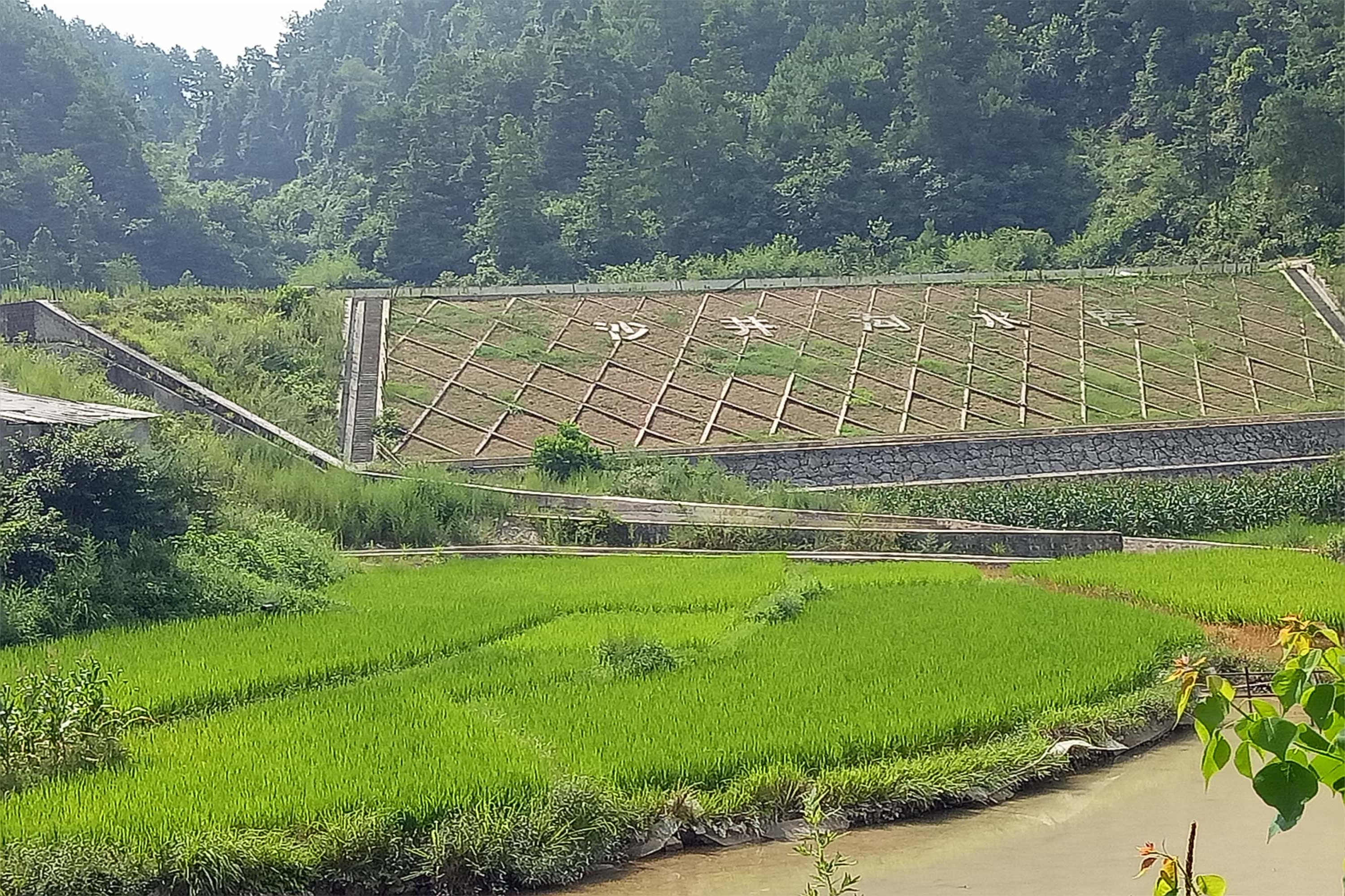 沙井沟水库