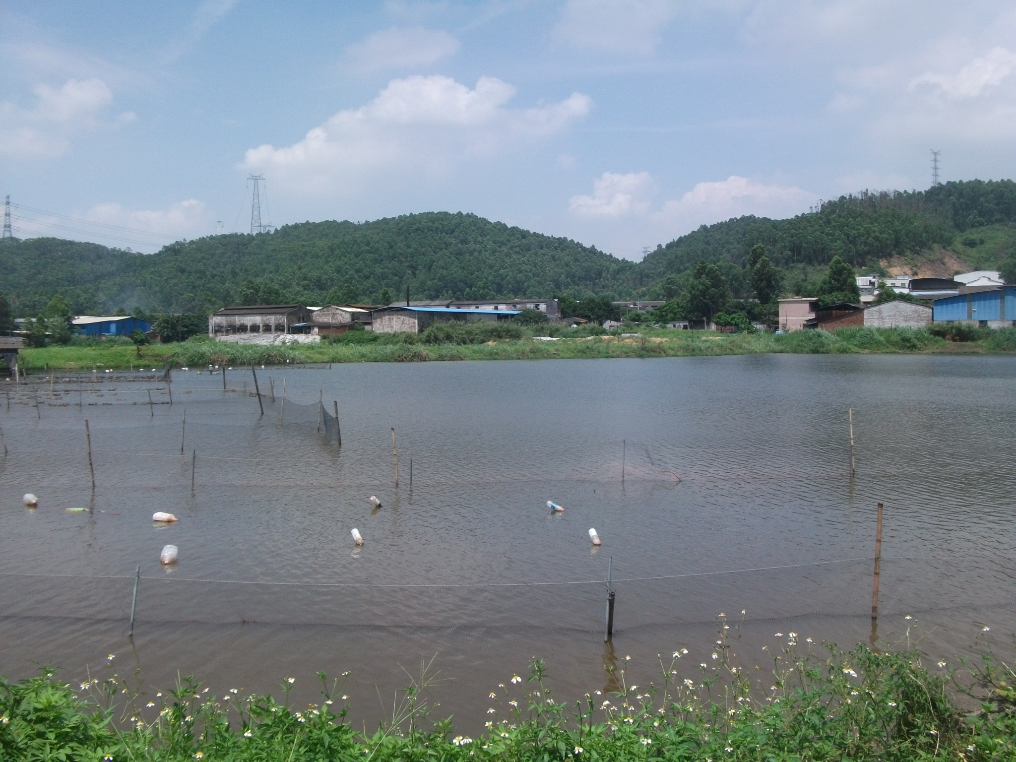 叶村岗山塘水库