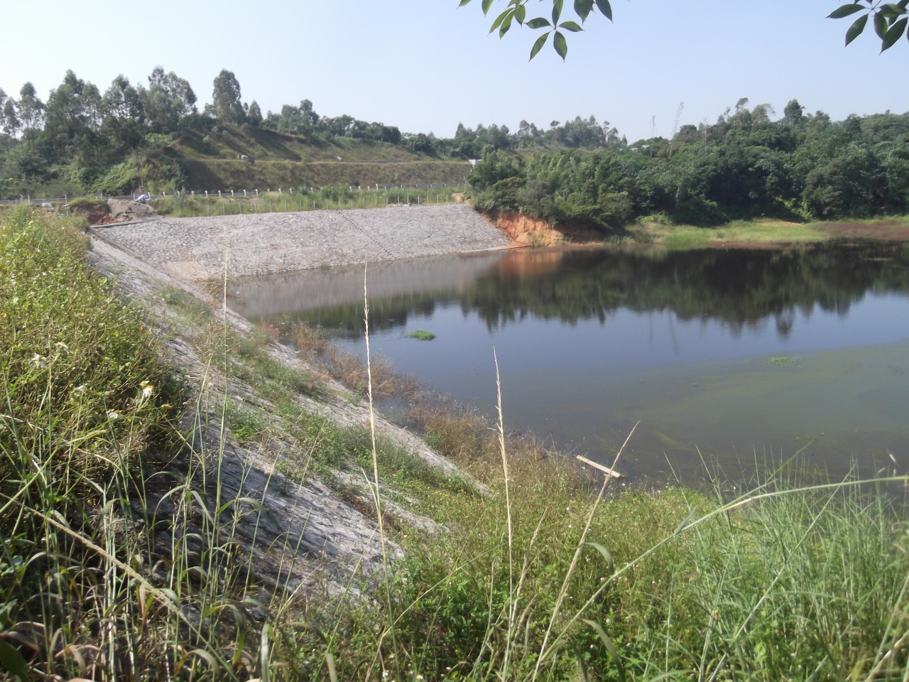 鱼西池水库