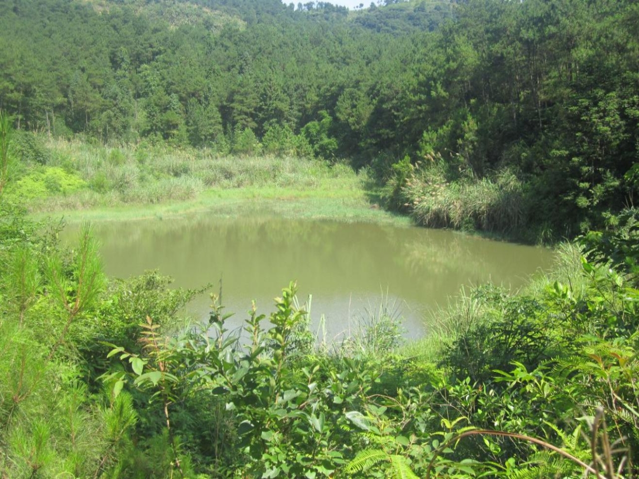 清溪湾水库