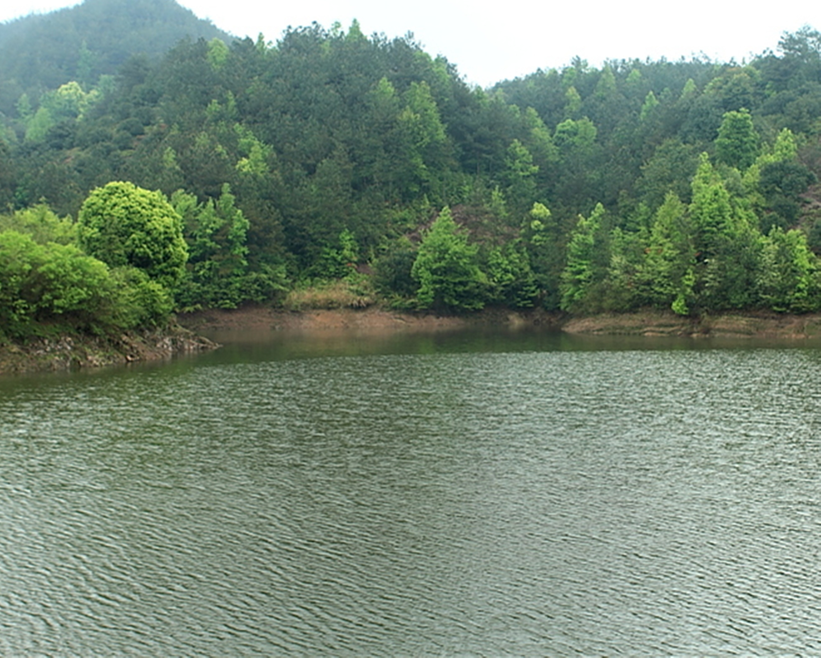 张家沟水库