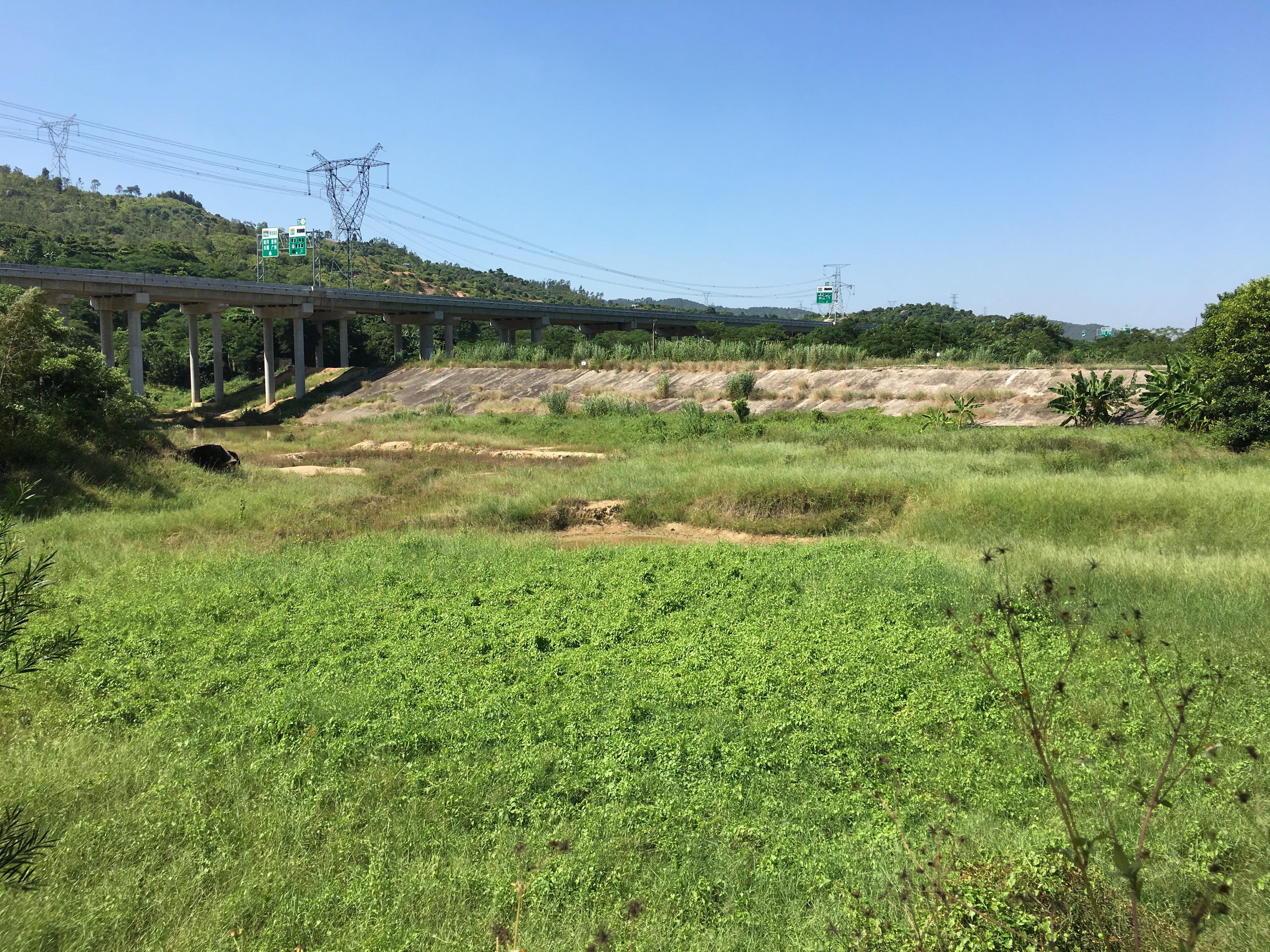 鲤鱼脐水库