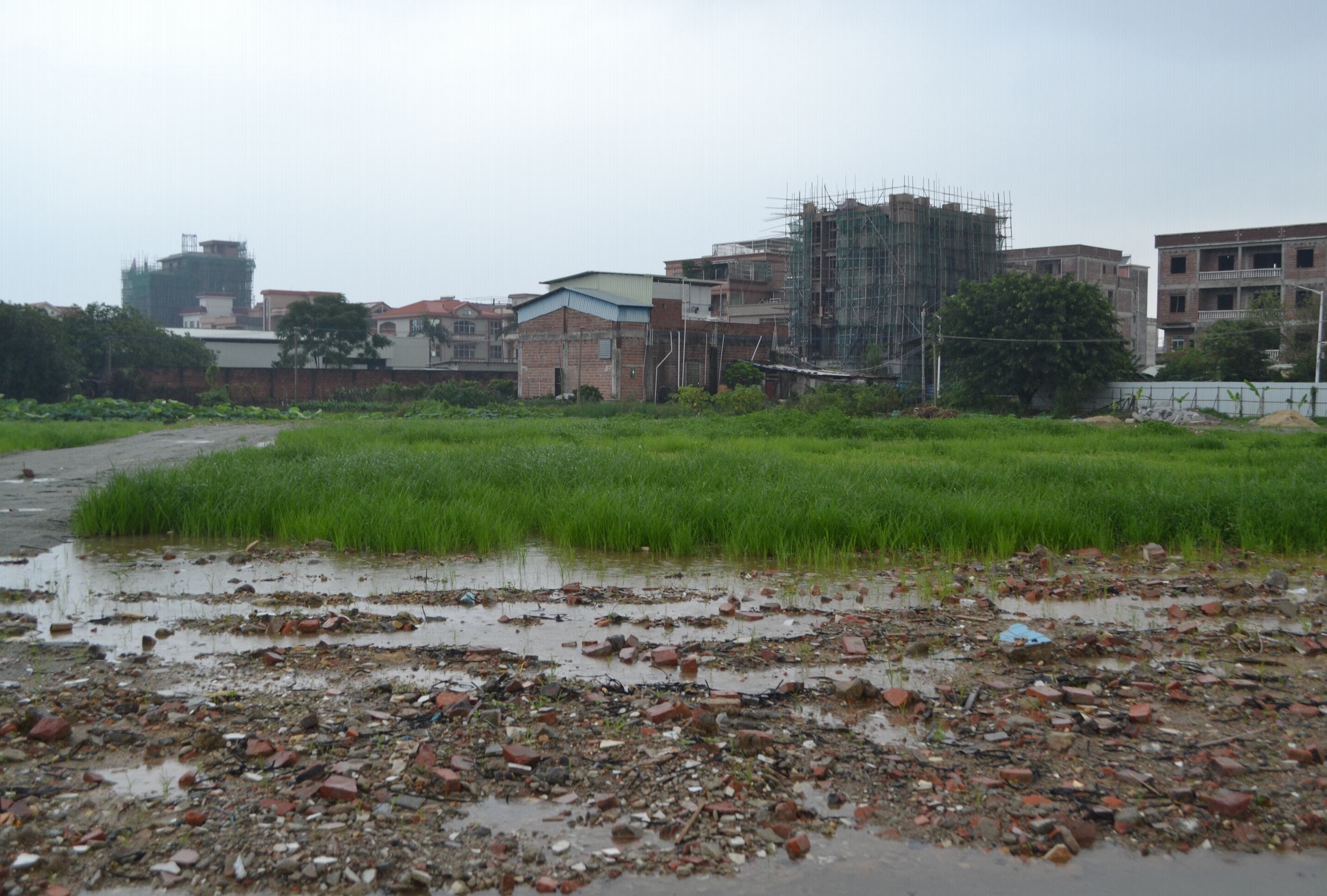 下沙湿地公园