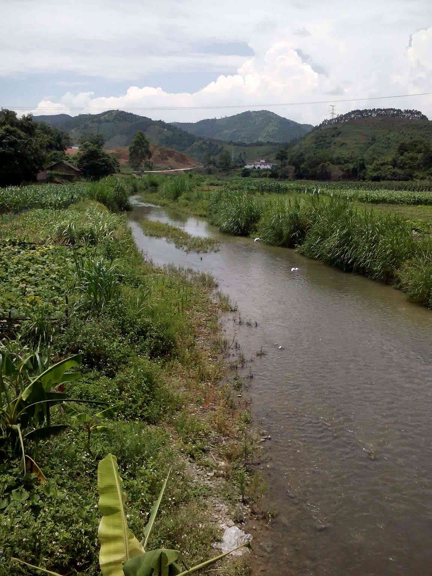 昔仁河