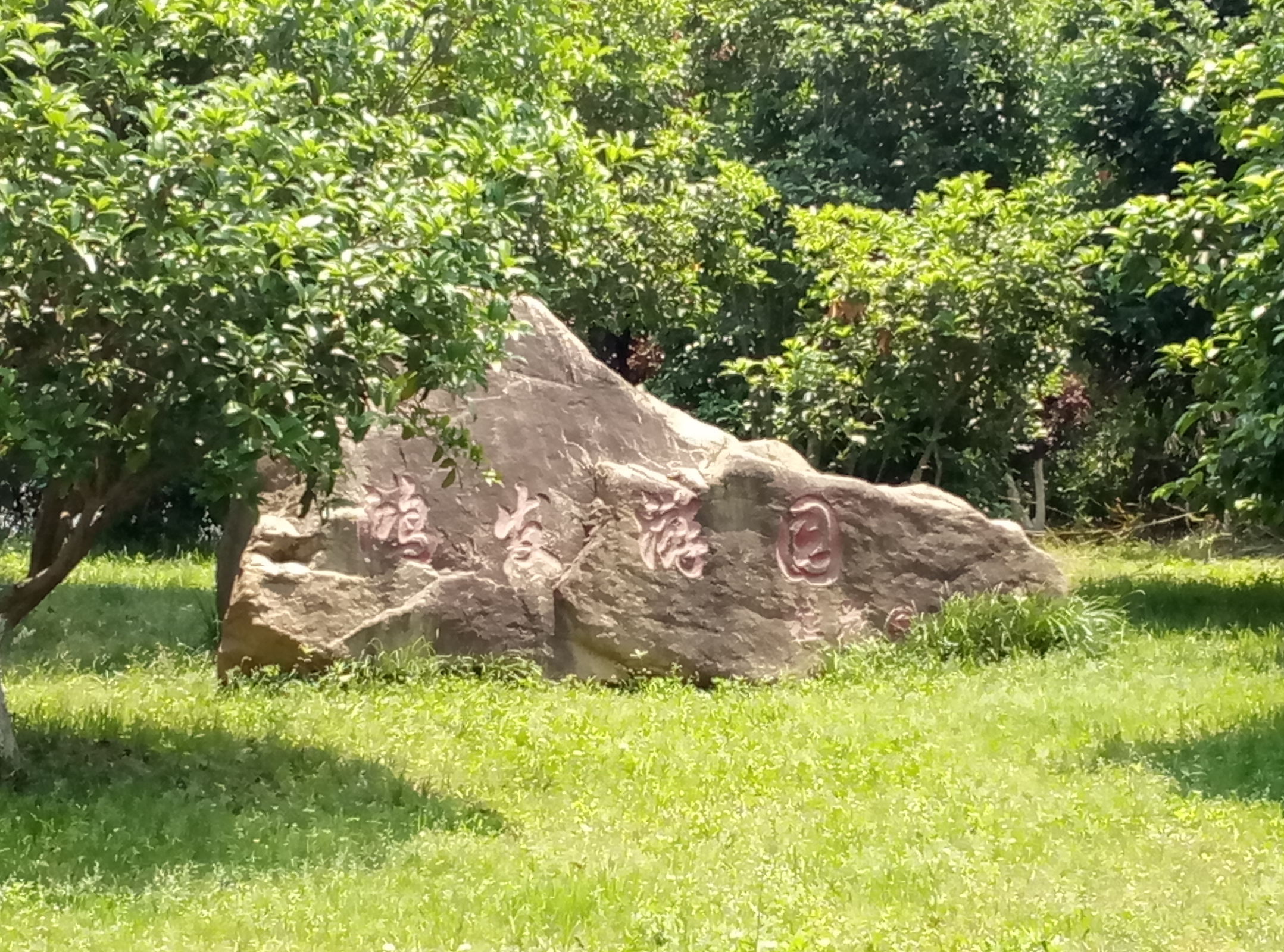 鸿发游园桂花园