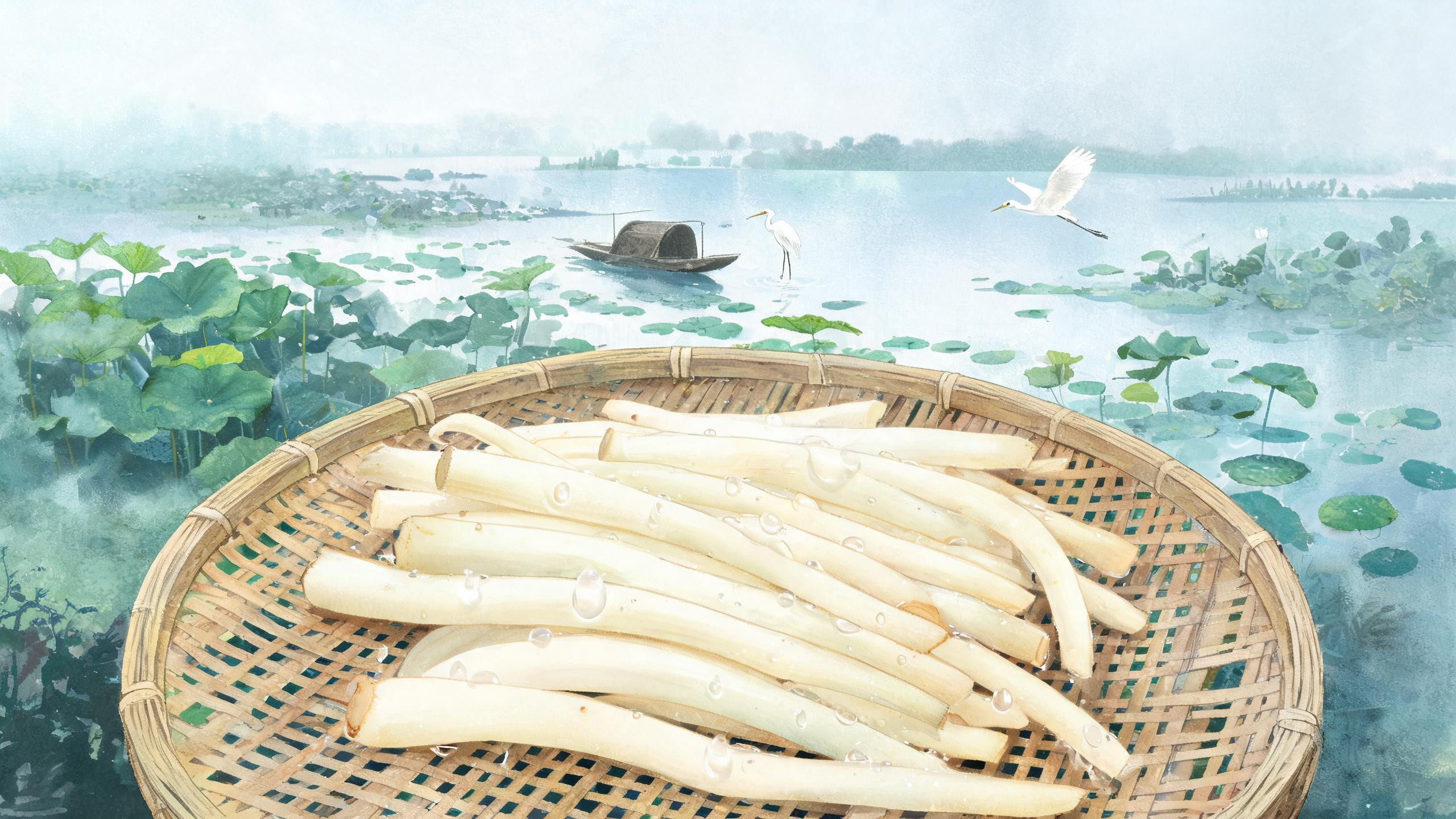 洪湖藕带：藏在荷叶下的白嫩嫩，李时珍早就写进了《本草纲目》