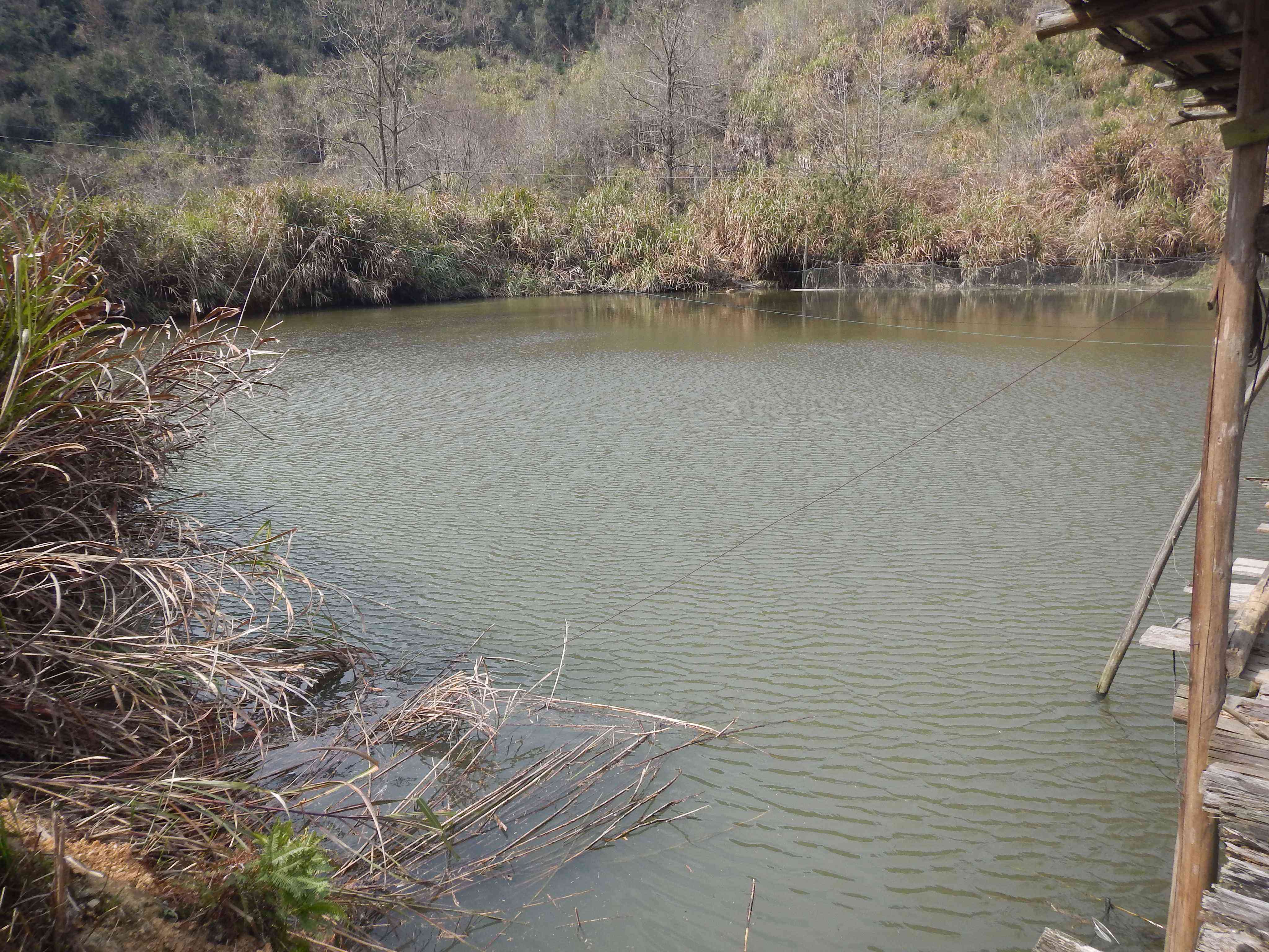 坑门水库