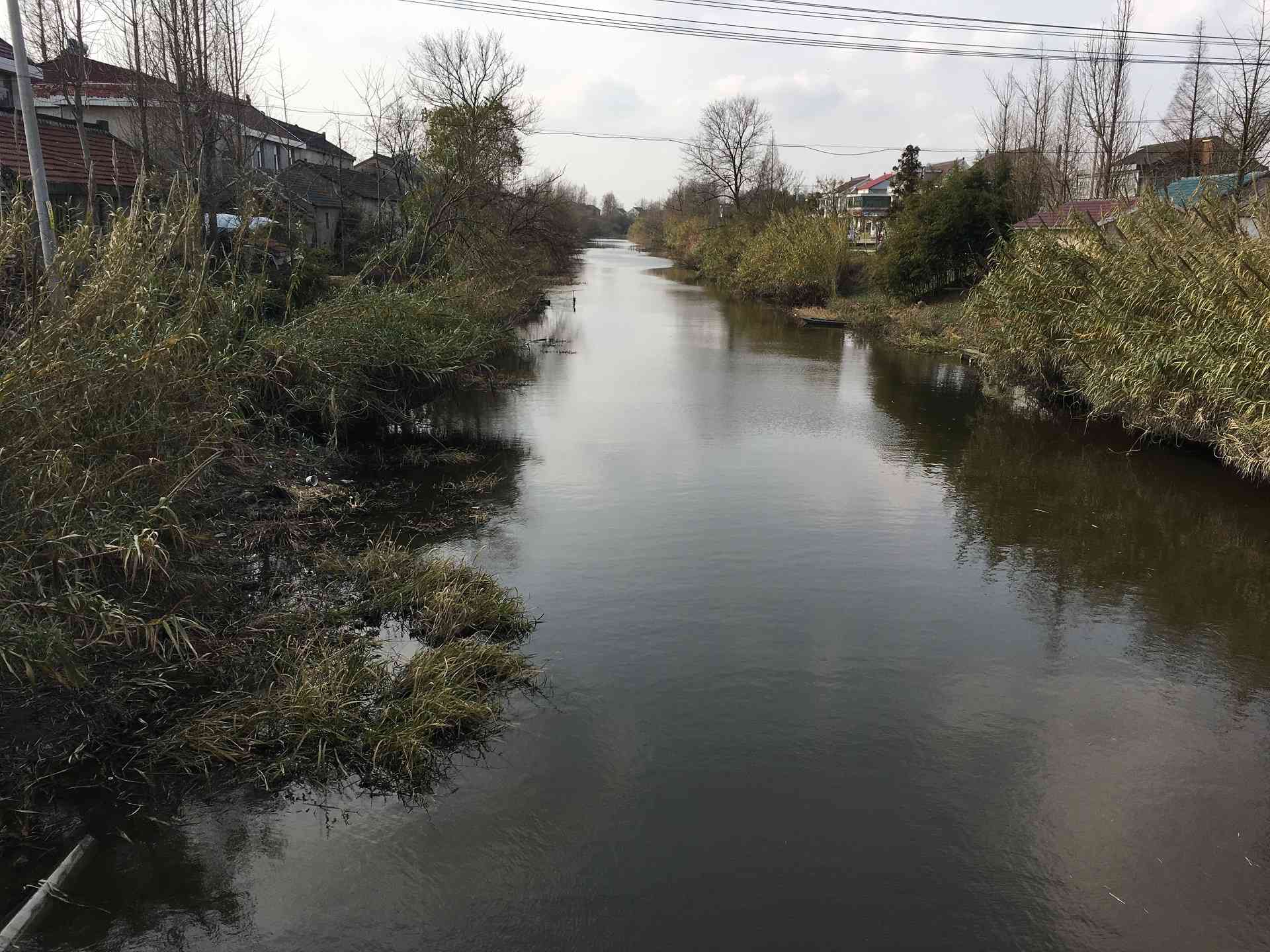 李储河