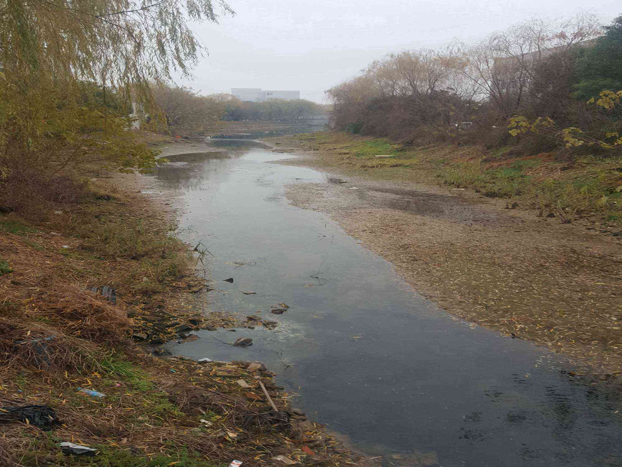 友谊河