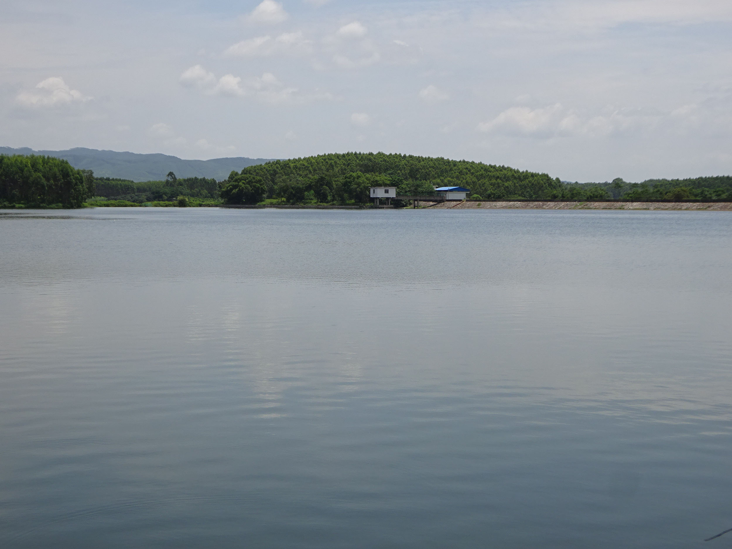 青年水库