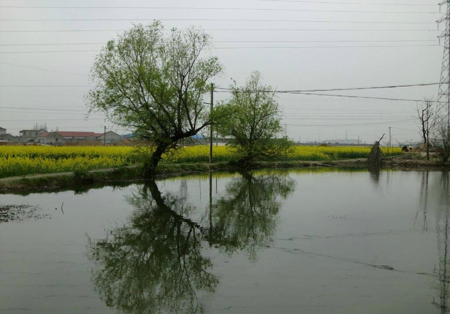 王才水库