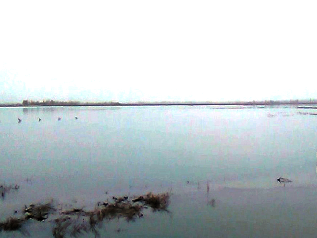 恰克玛克湖