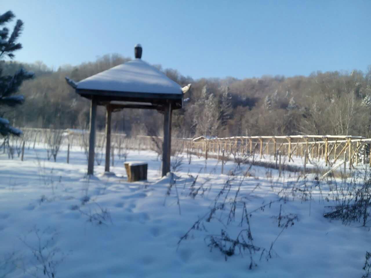 苏密枫雪谷景区