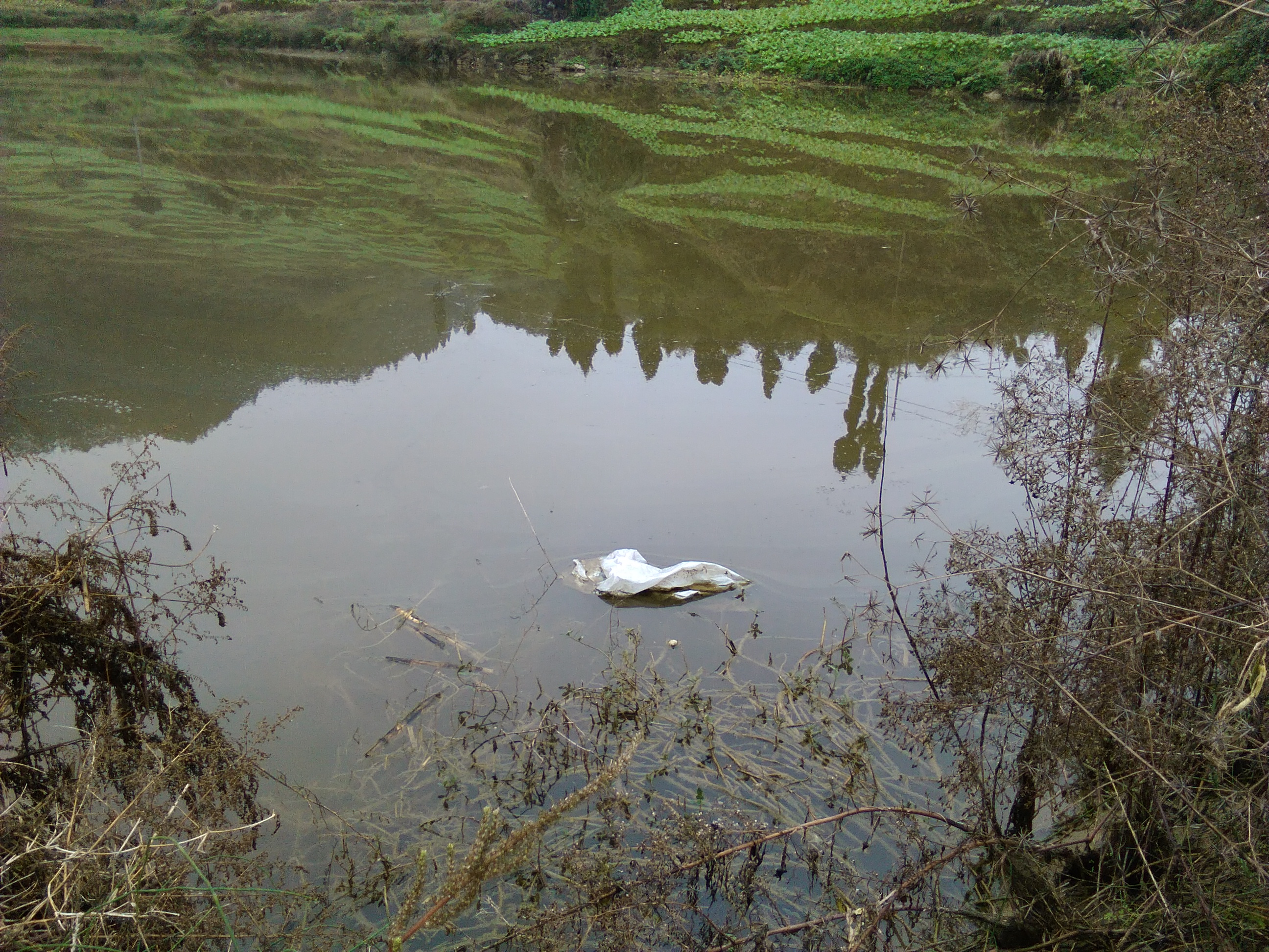 百洋沟水库