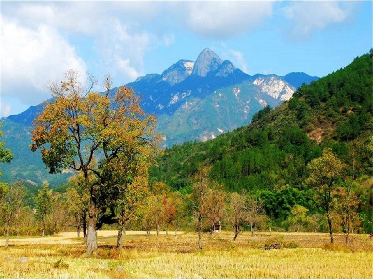 大别山国家森林公园