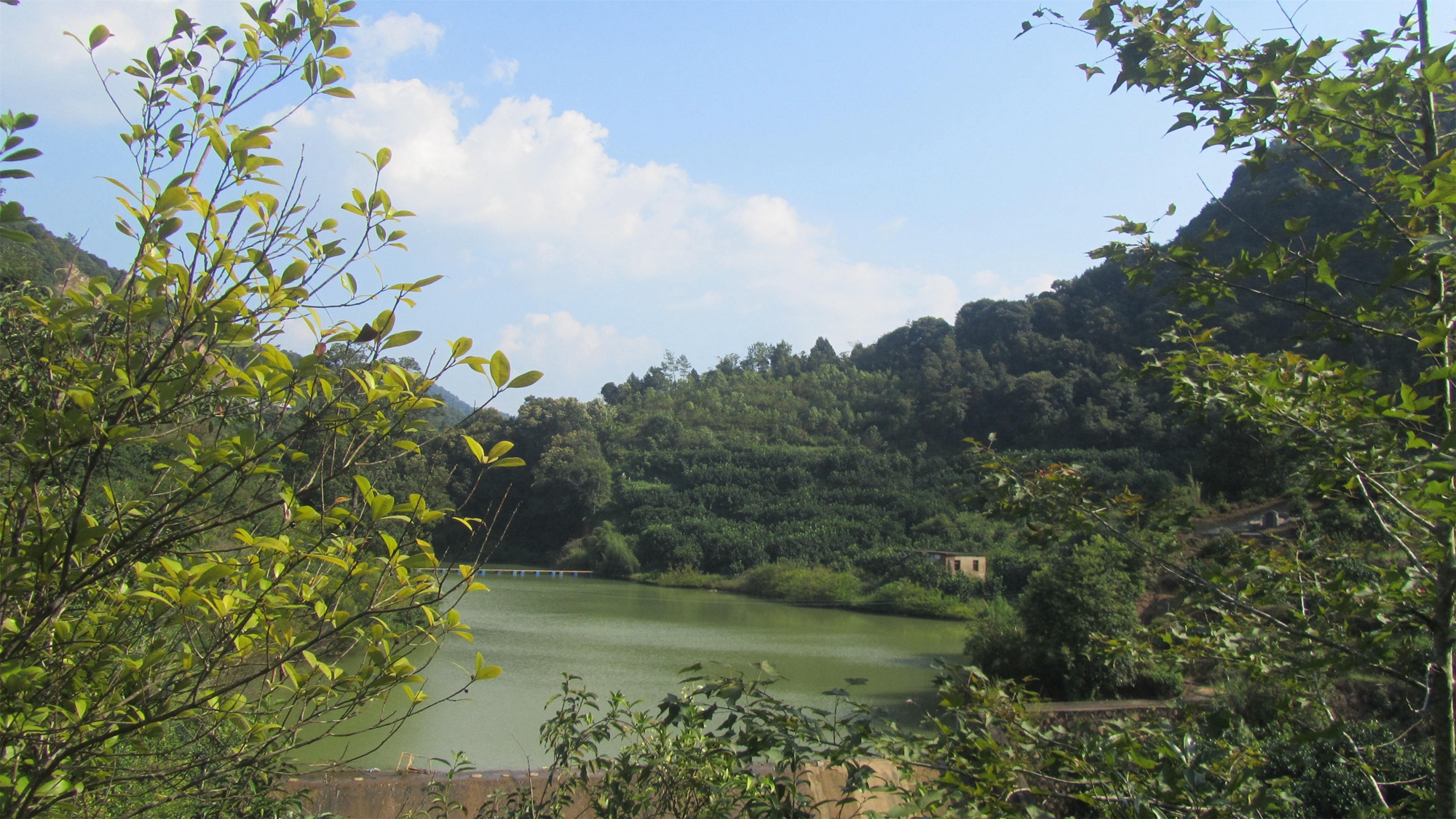 神山坪水库