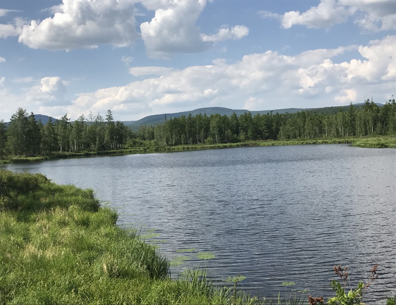 鹿鸣湖