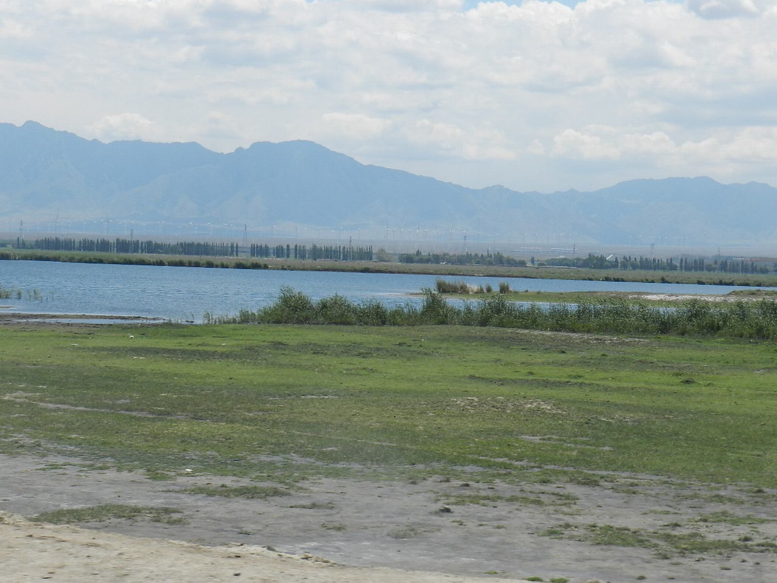 苇湖