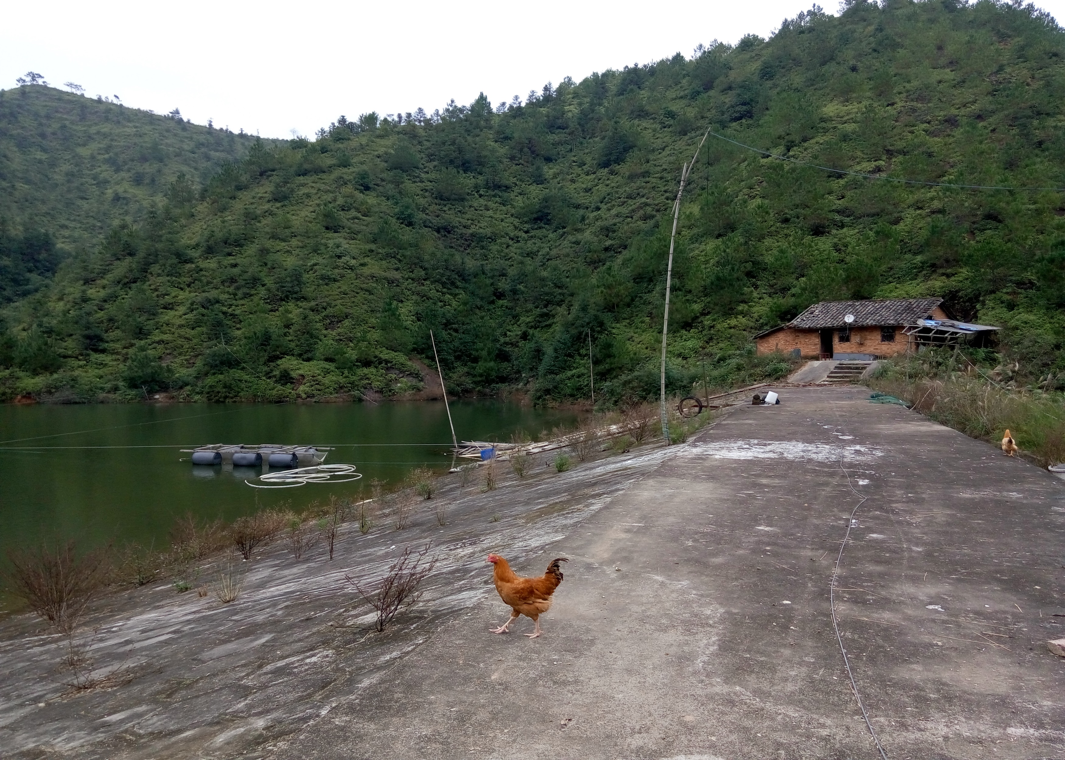 松岗水库