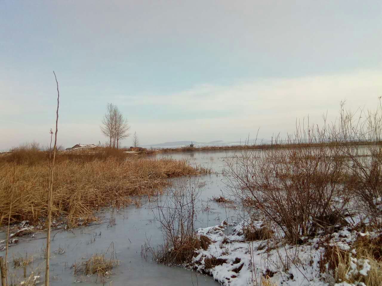 王家八队水库