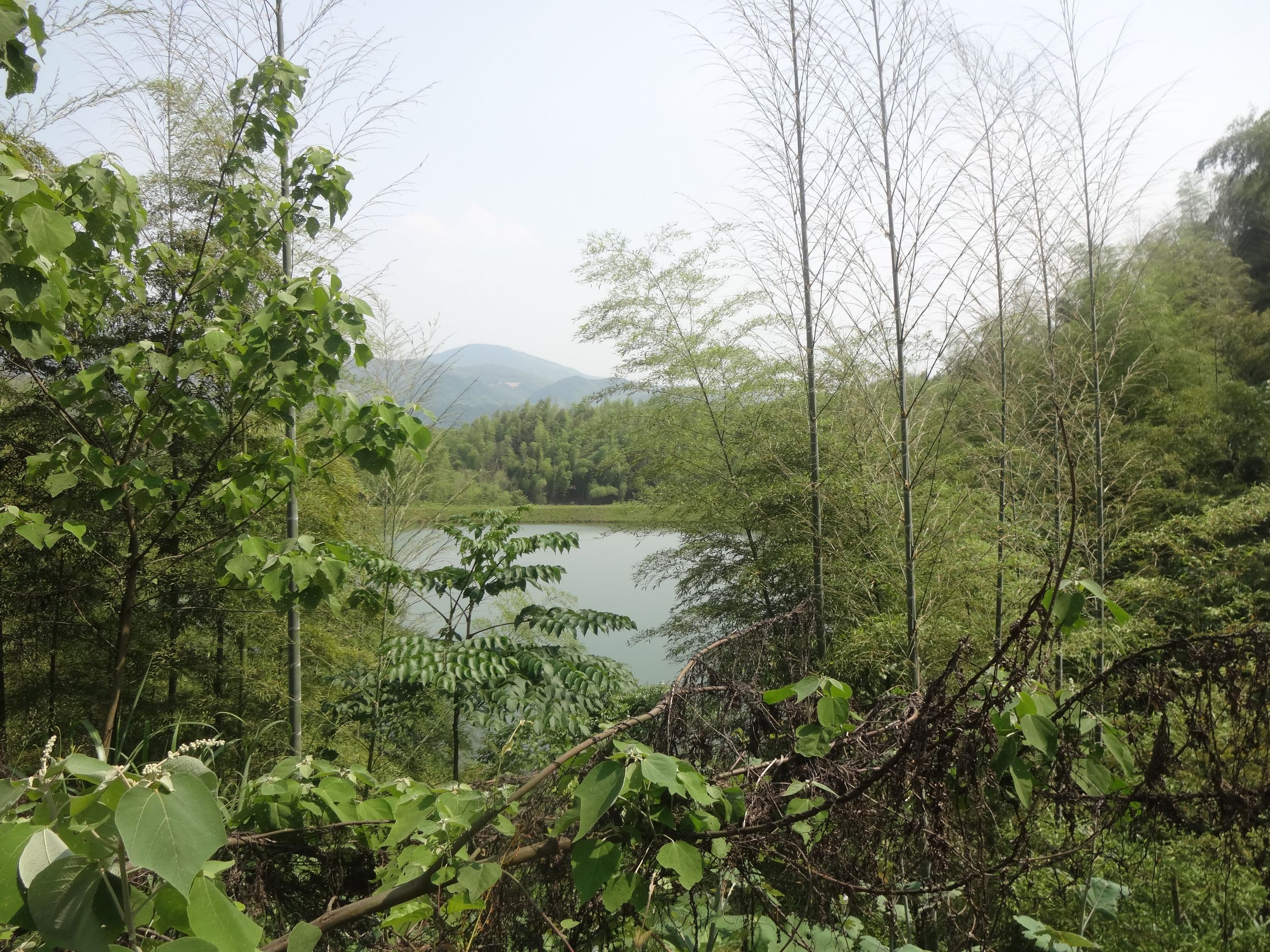 荒田坞水库