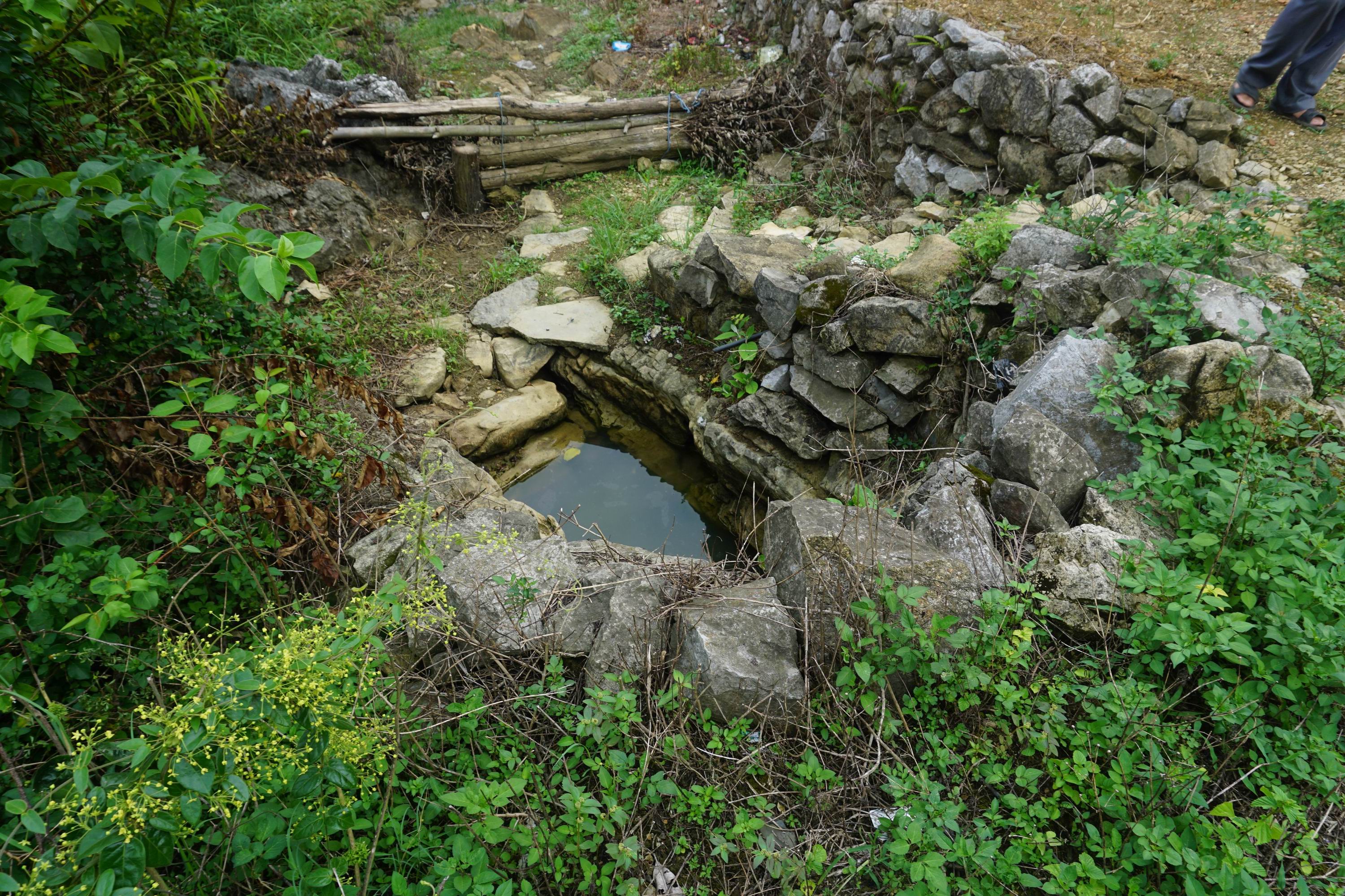 龙怀泉