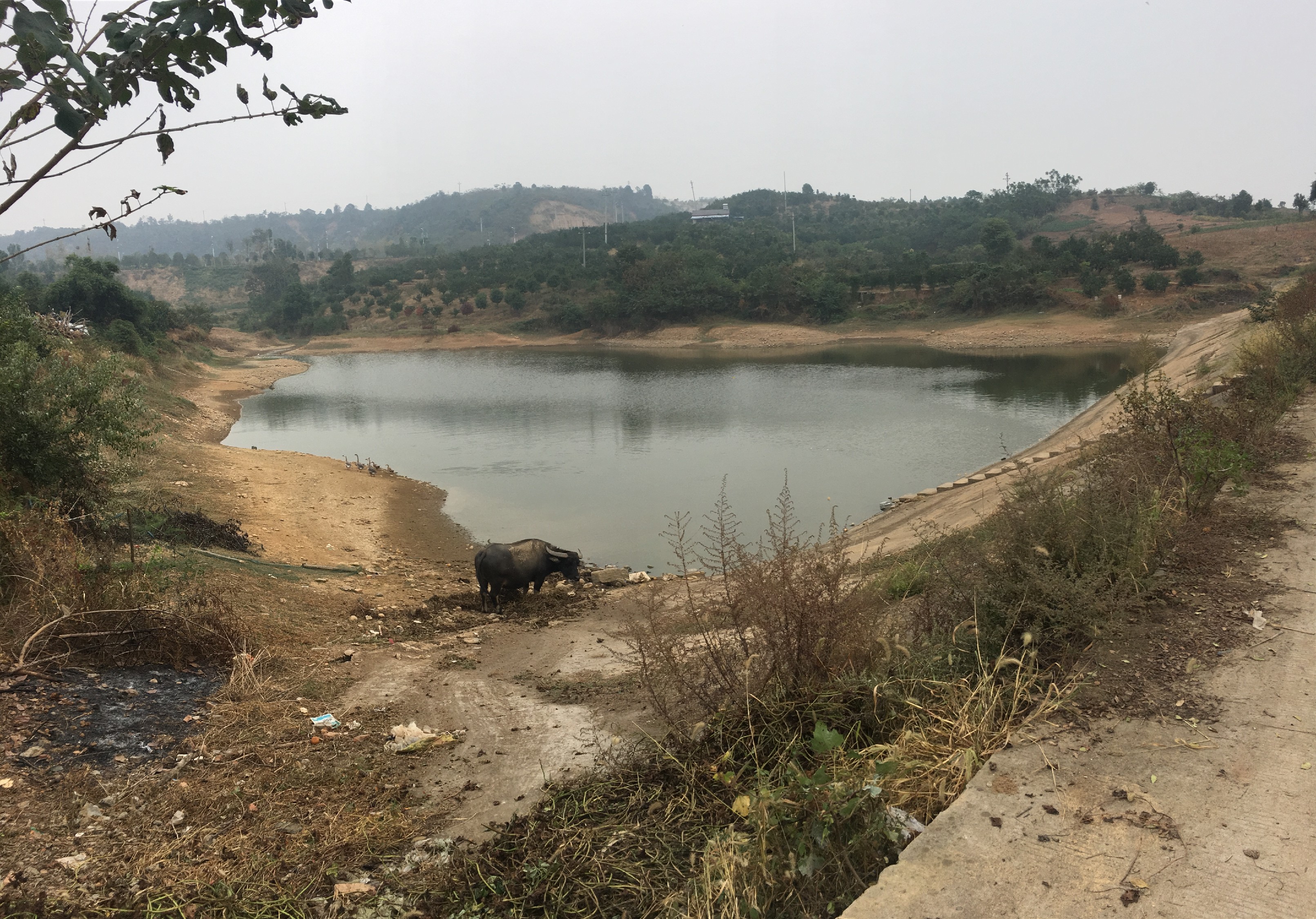 黄家大堰水库