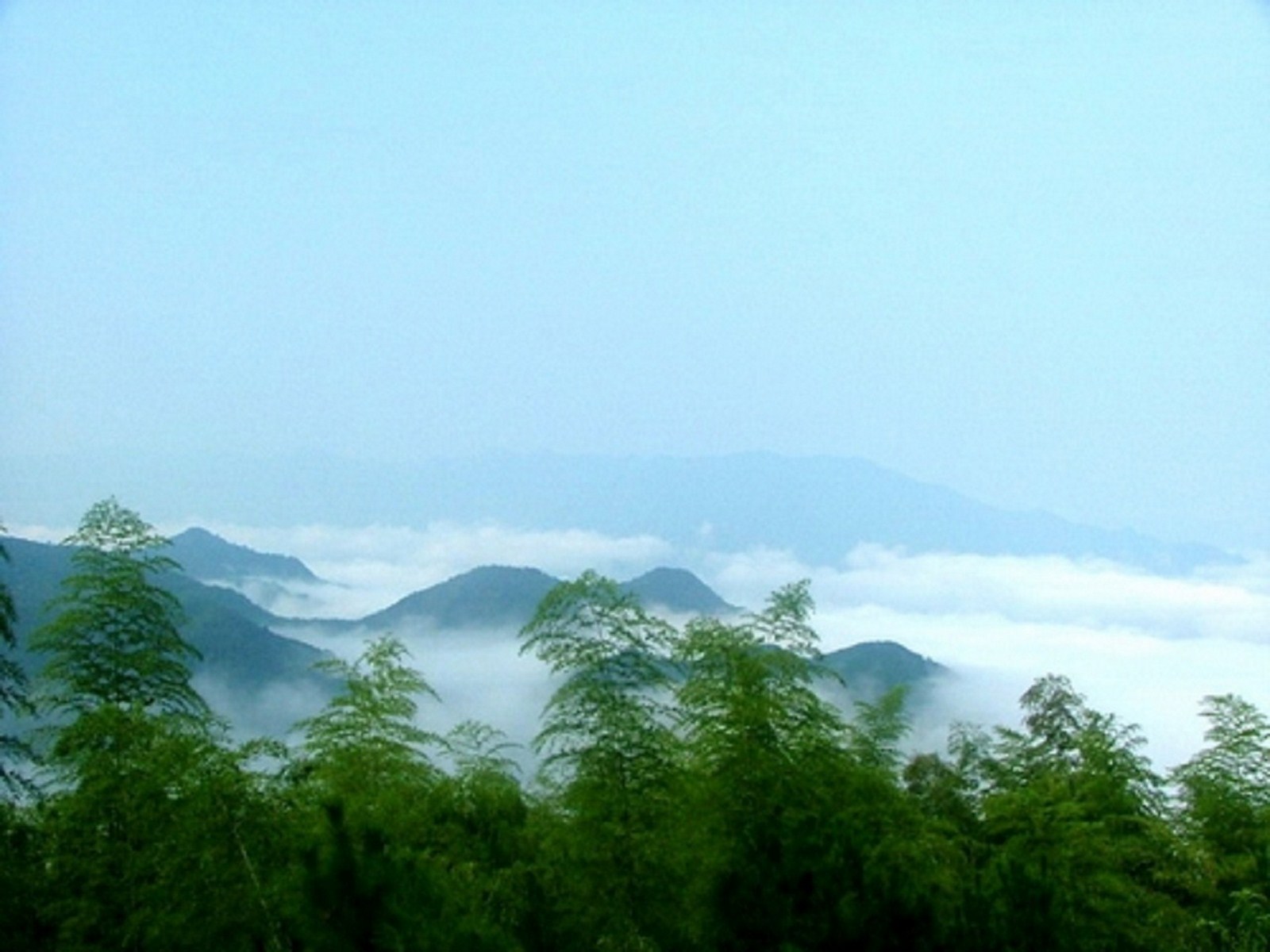 紫燕山森林公园