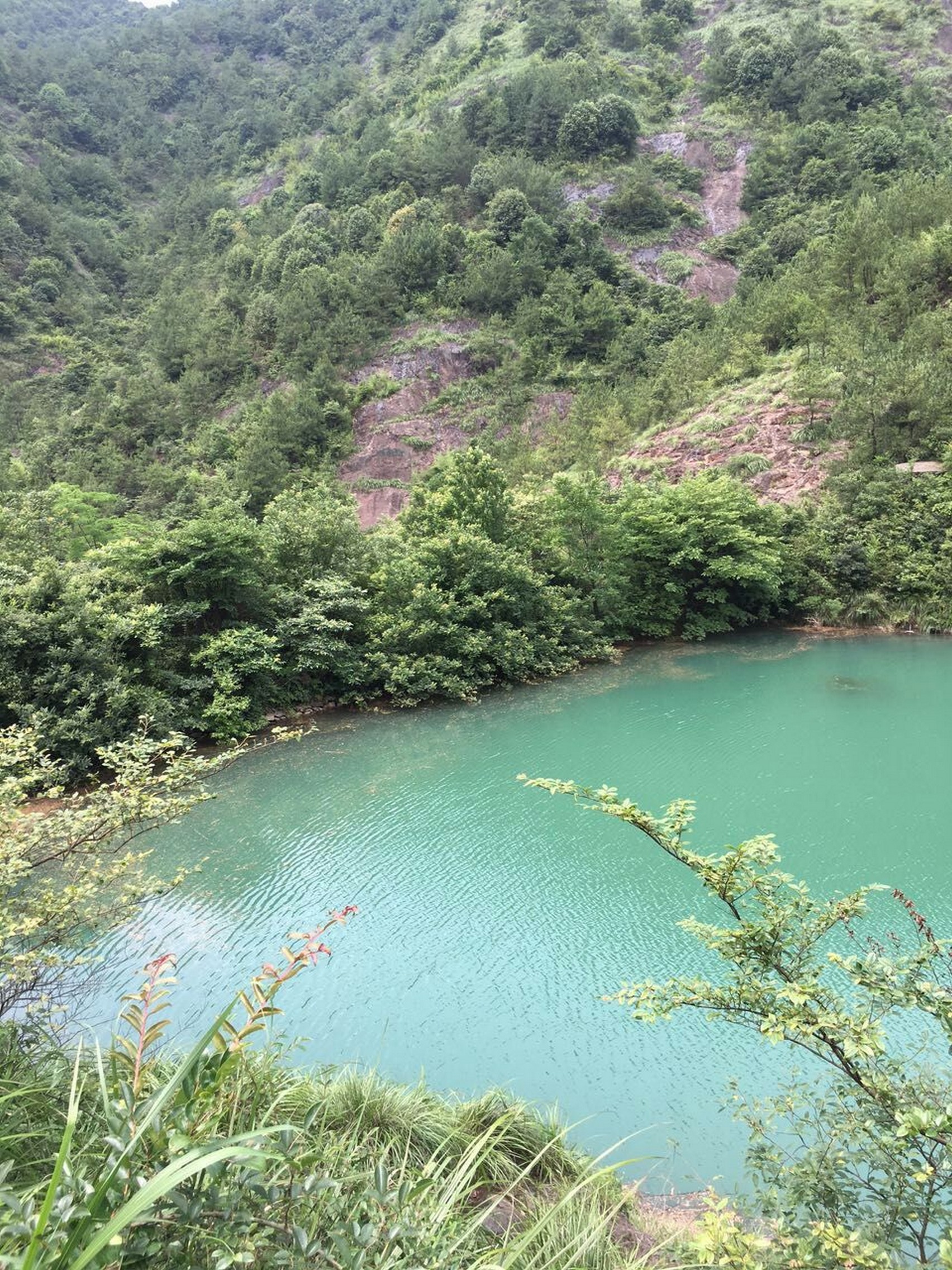 金鸣坞山塘