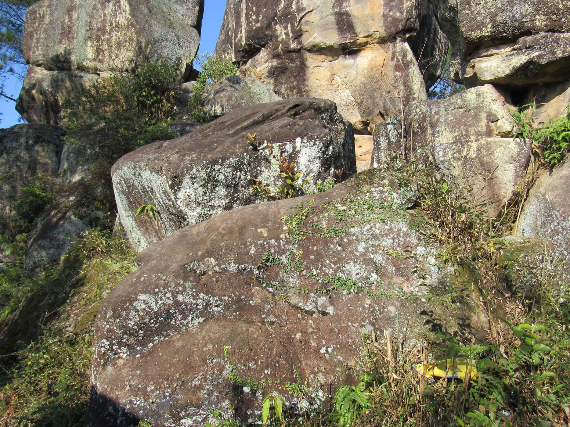 花山石林风景区