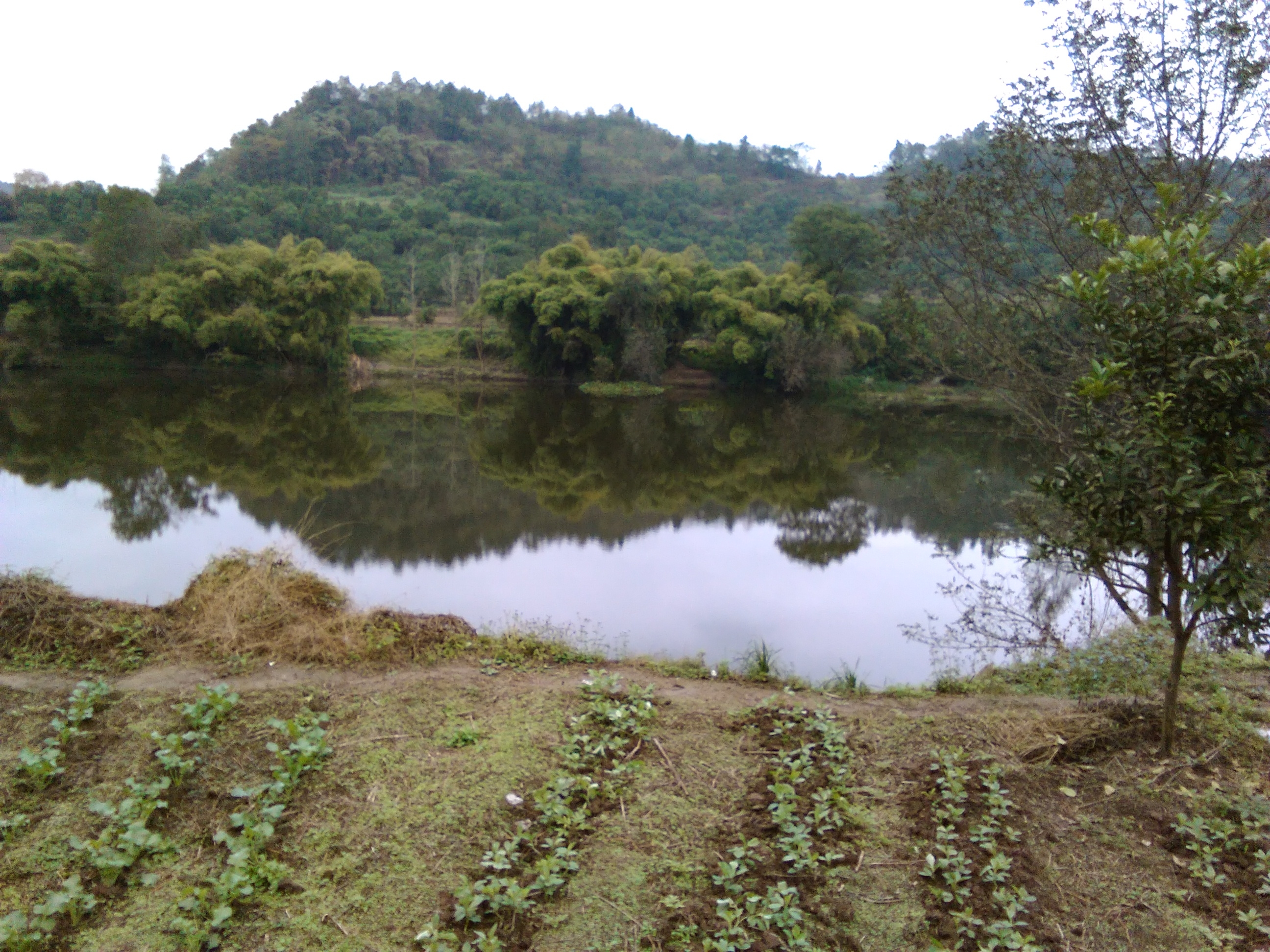 龙溪河