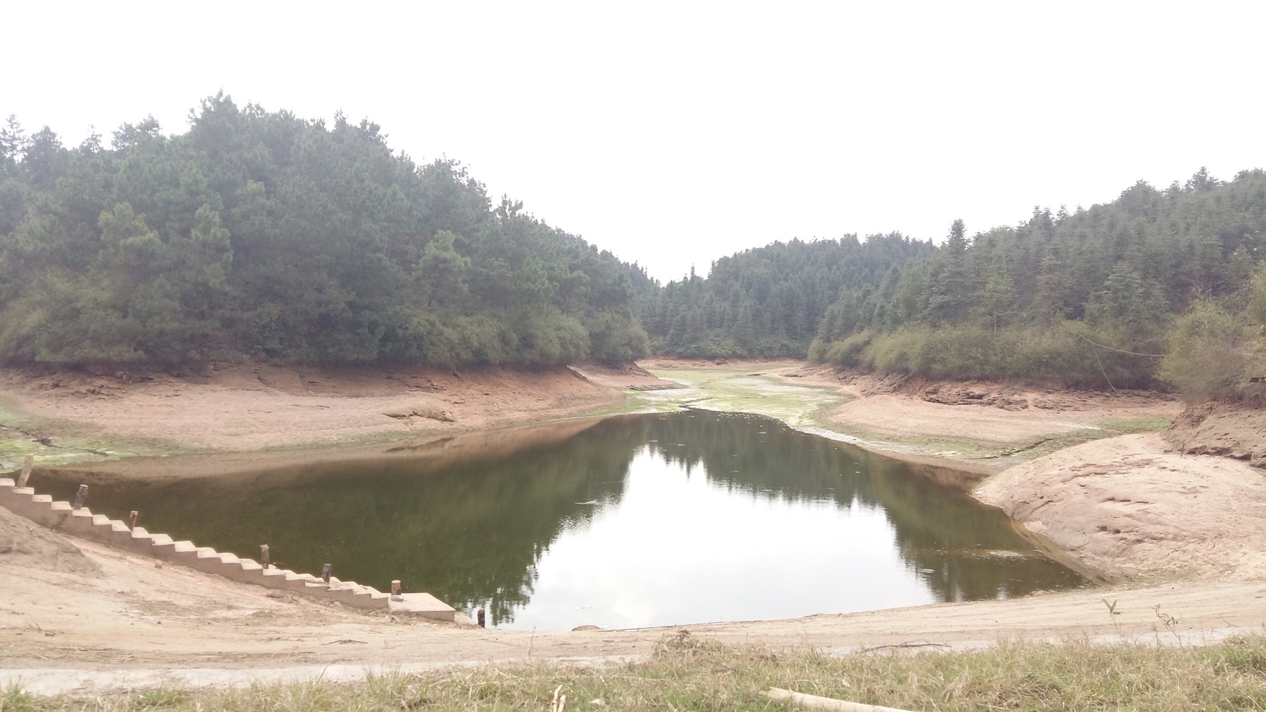 泥鳅毁水库