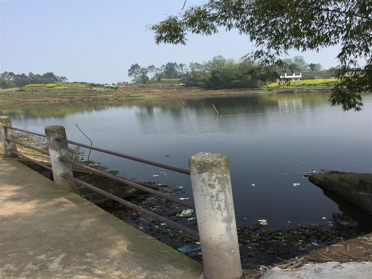 黄泥水库