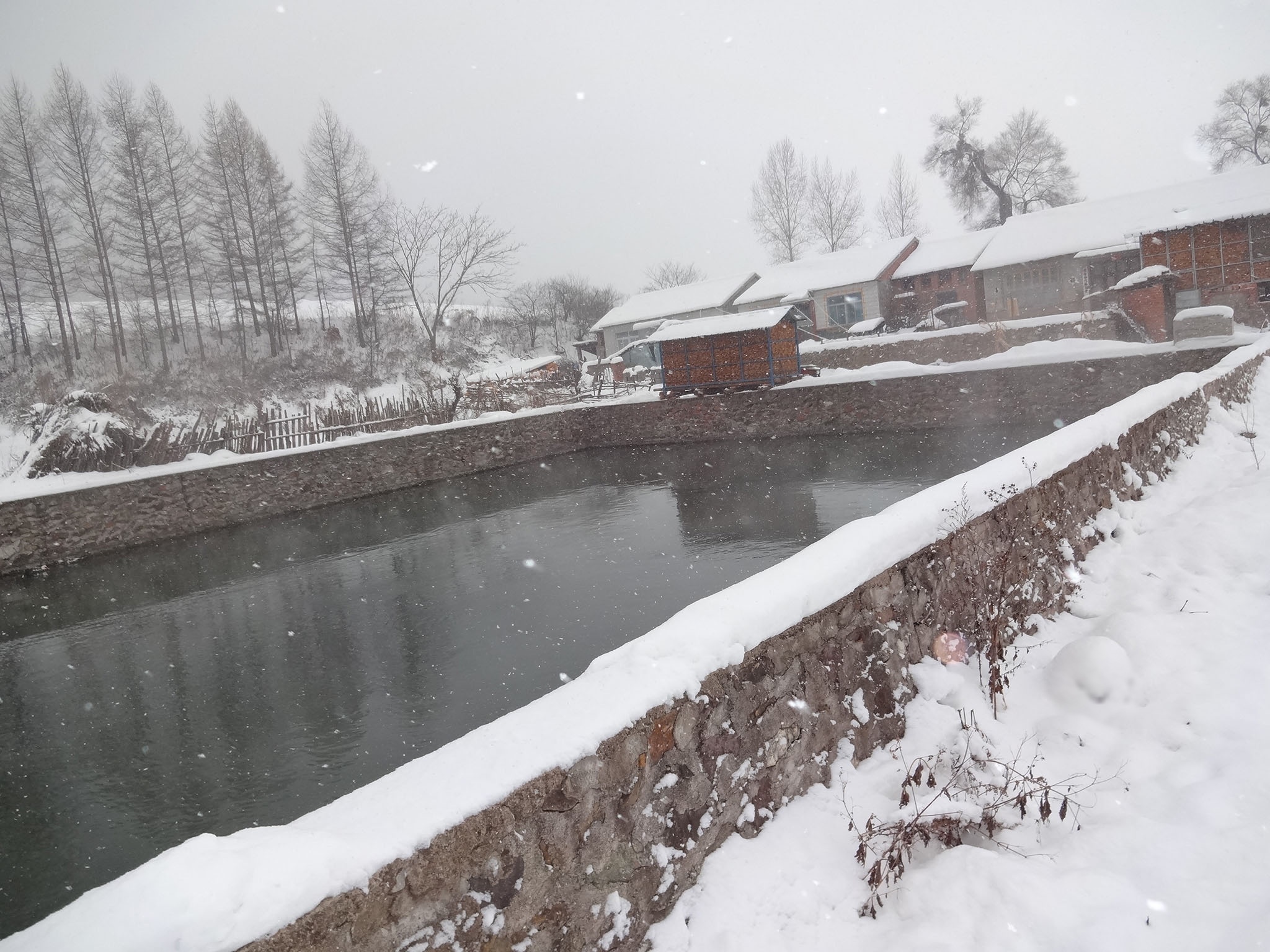 大川温泉