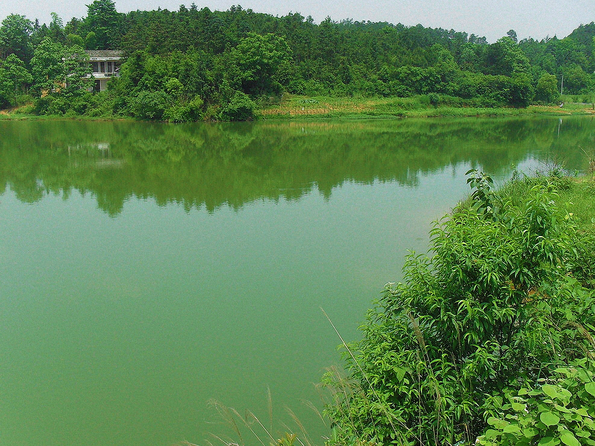 许家村后头海水库