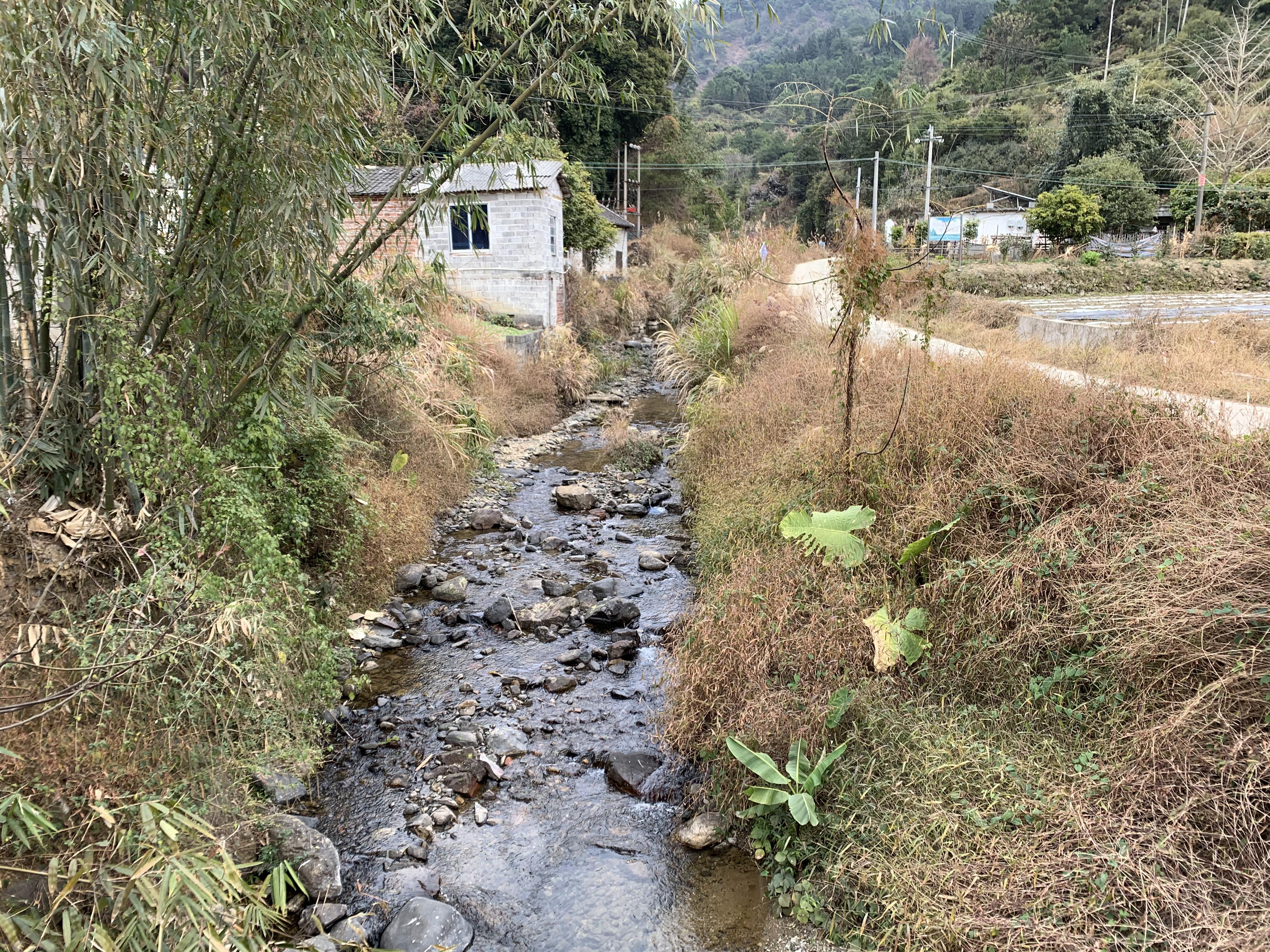 沙坪河