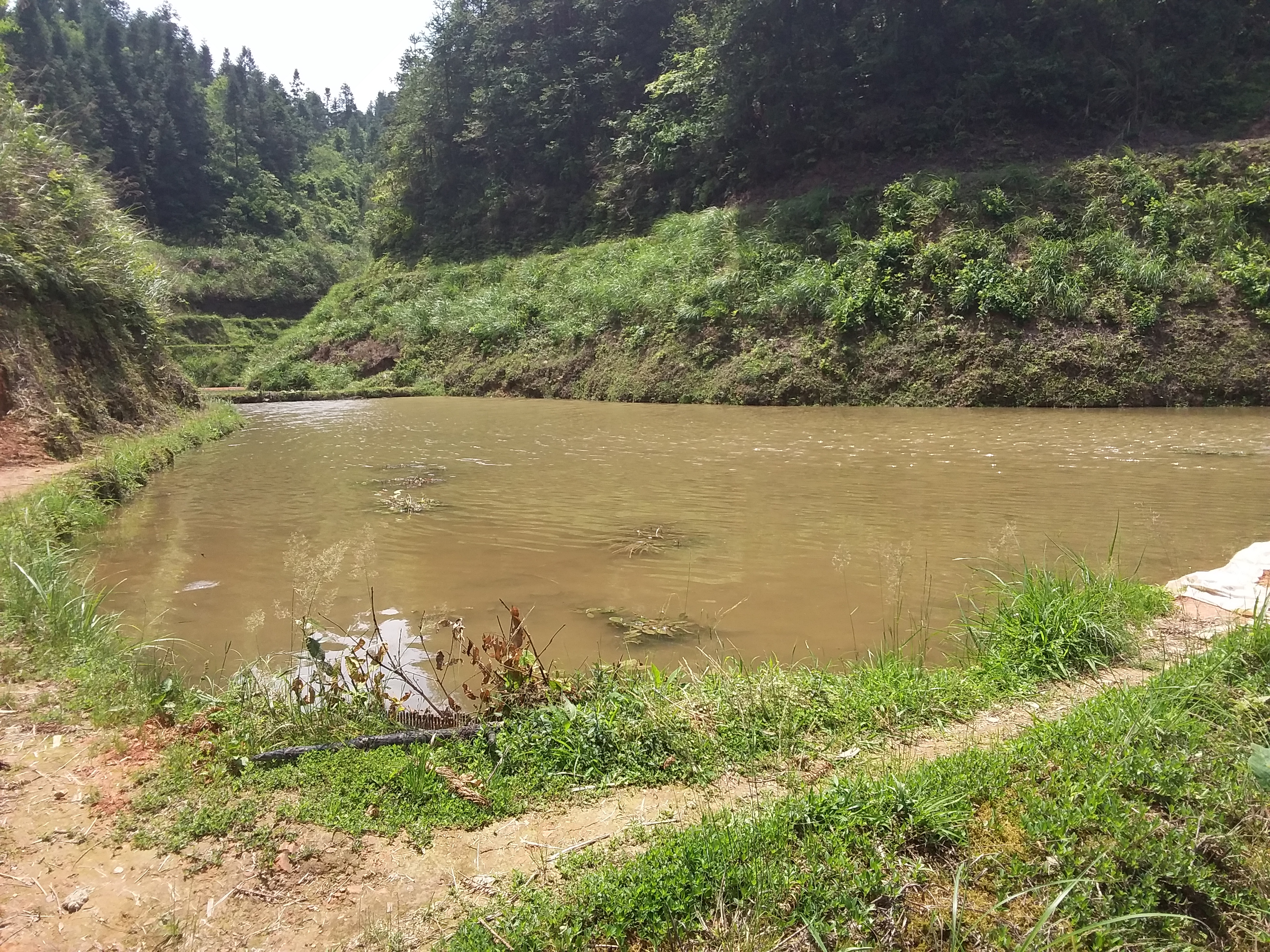 黎平所教场冲水库