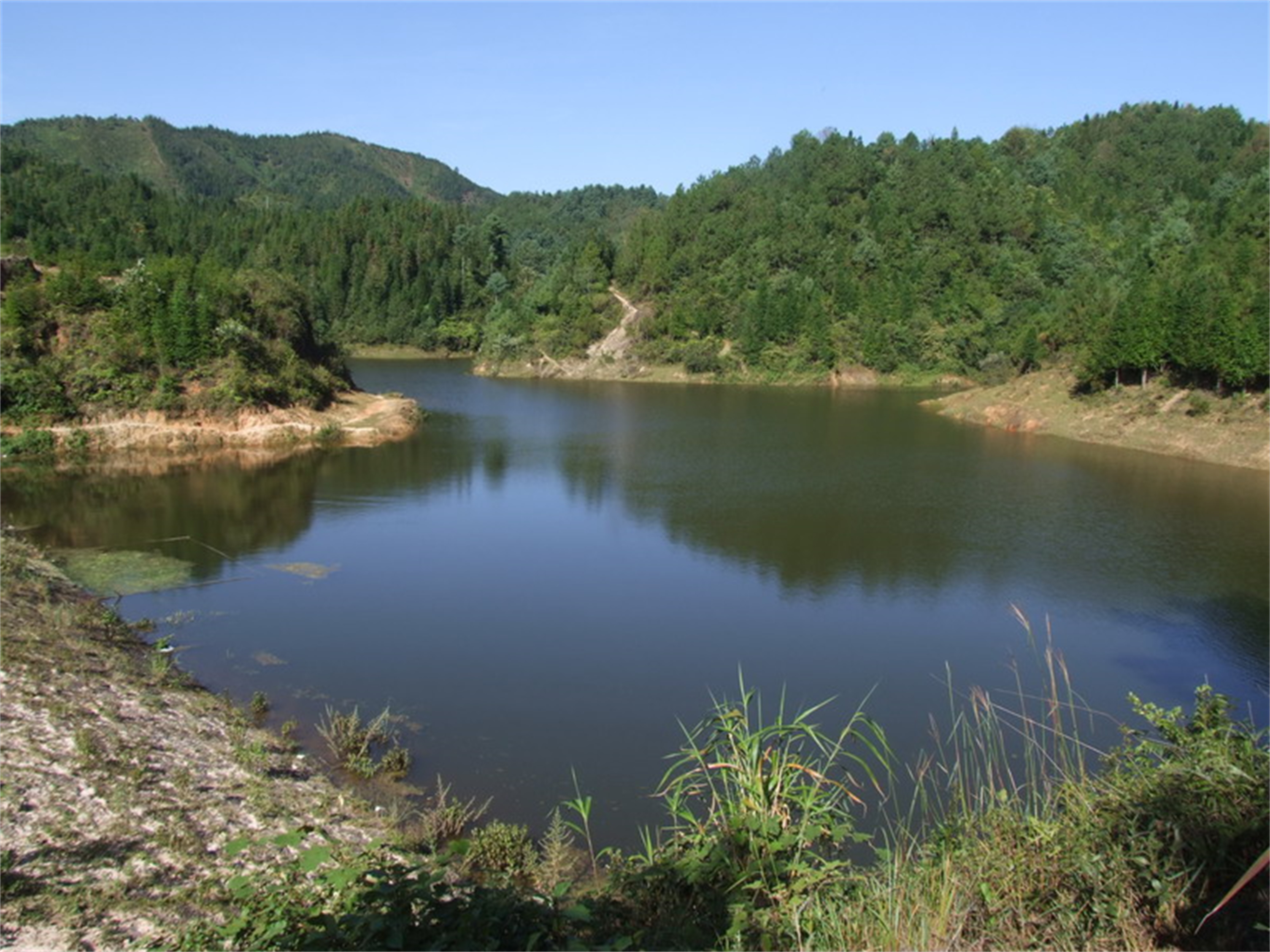 泡猫河水库