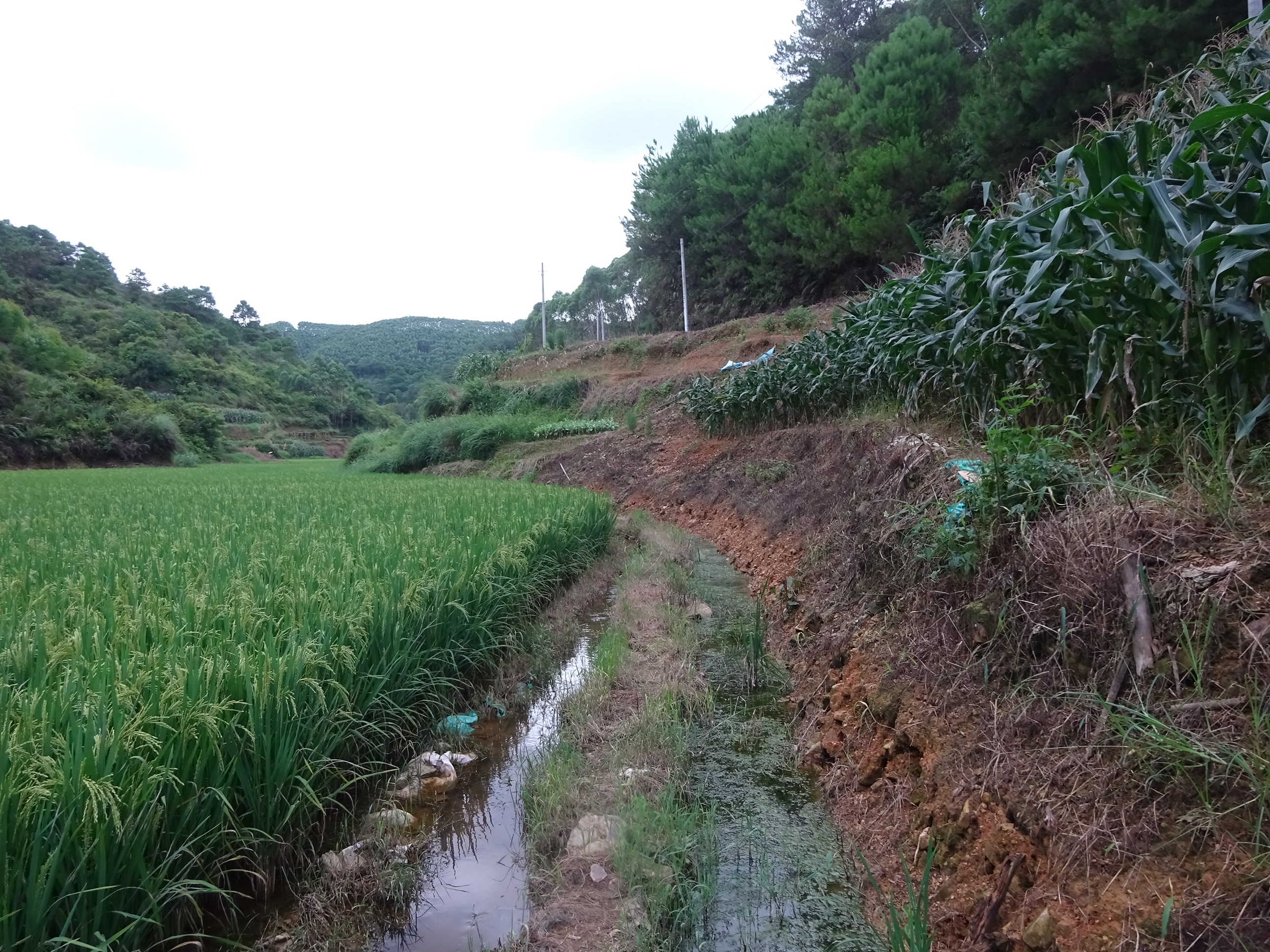 黎屋河